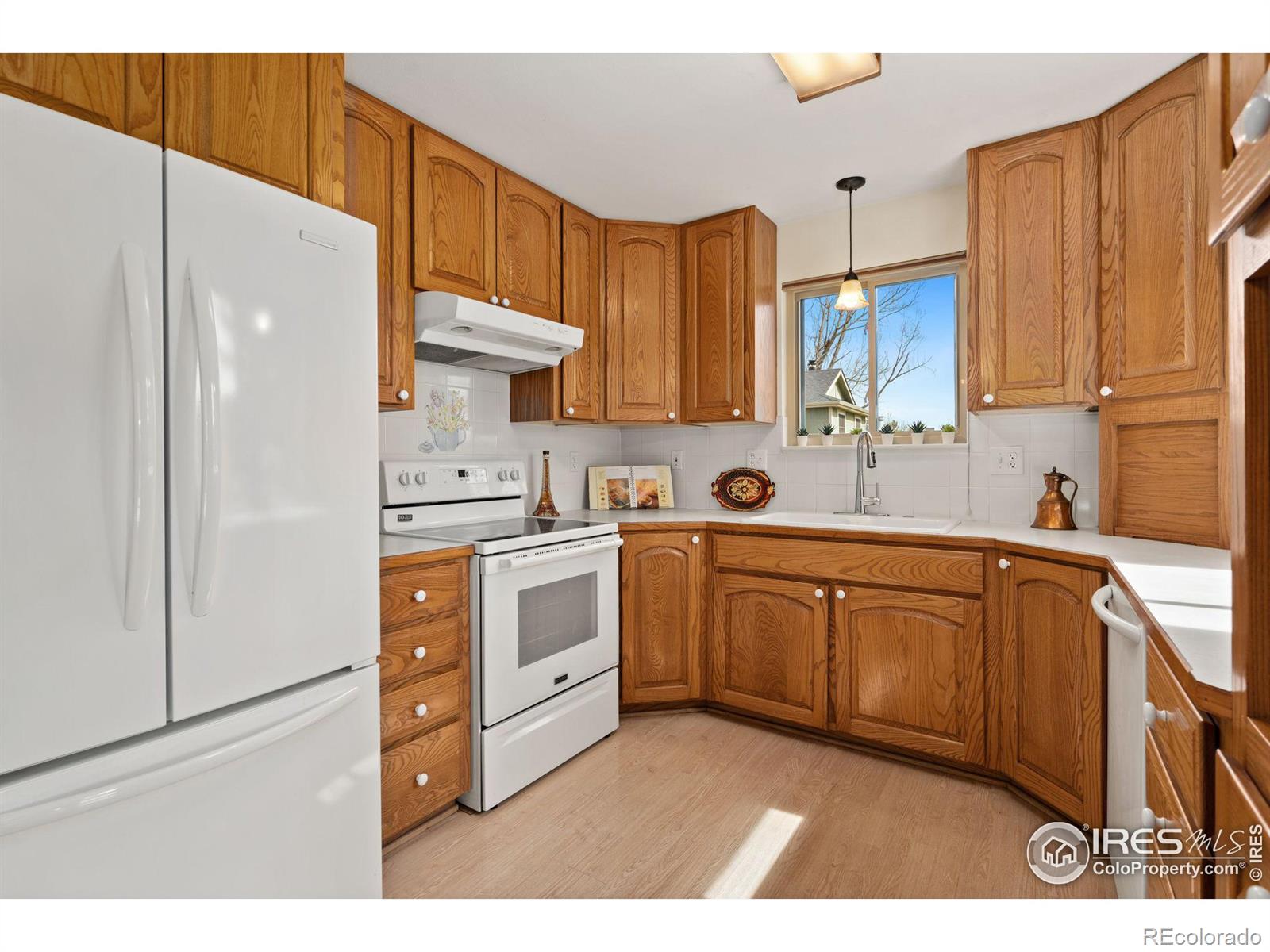 MLS Image #6 for 1501  yount street,fort collins, Colorado
