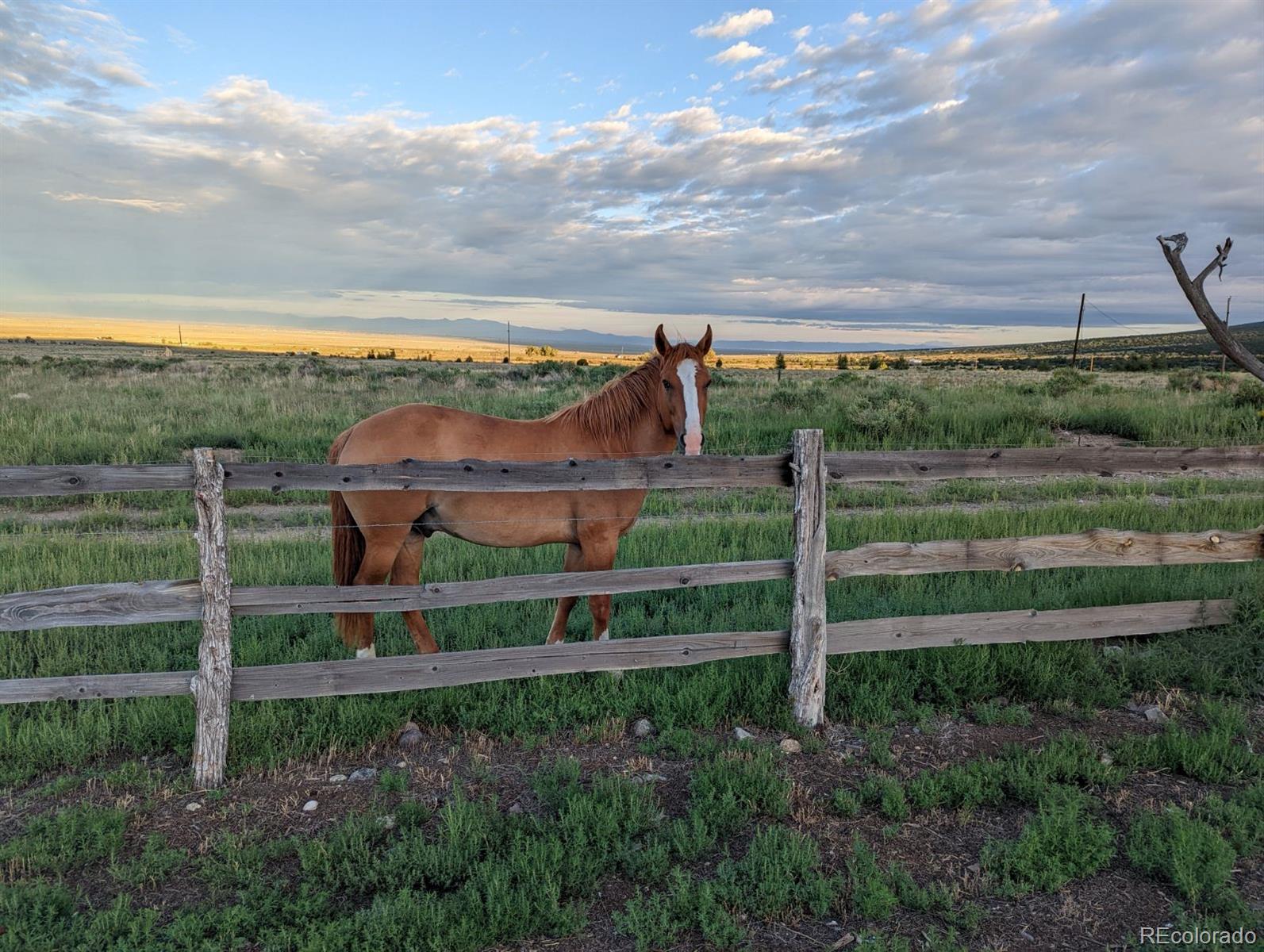 MLS Image #23 for 34425  county road 14.5 ,blanca, Colorado