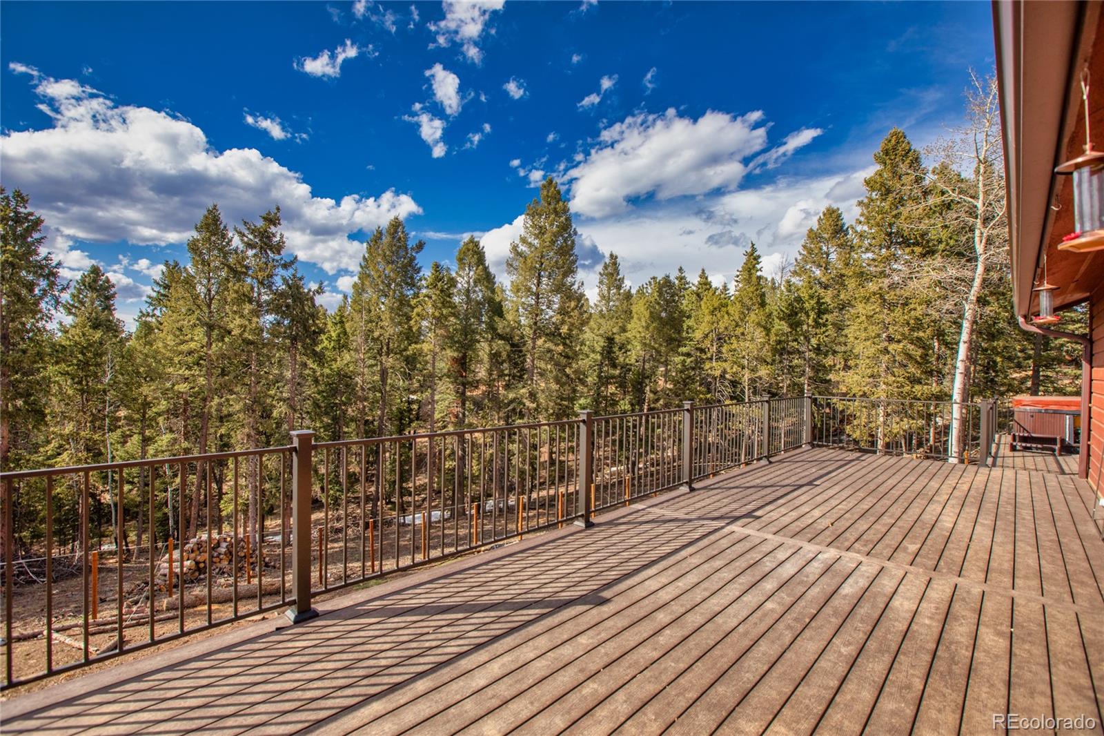 MLS Image #4 for 342  blue mesa drive,divide, Colorado