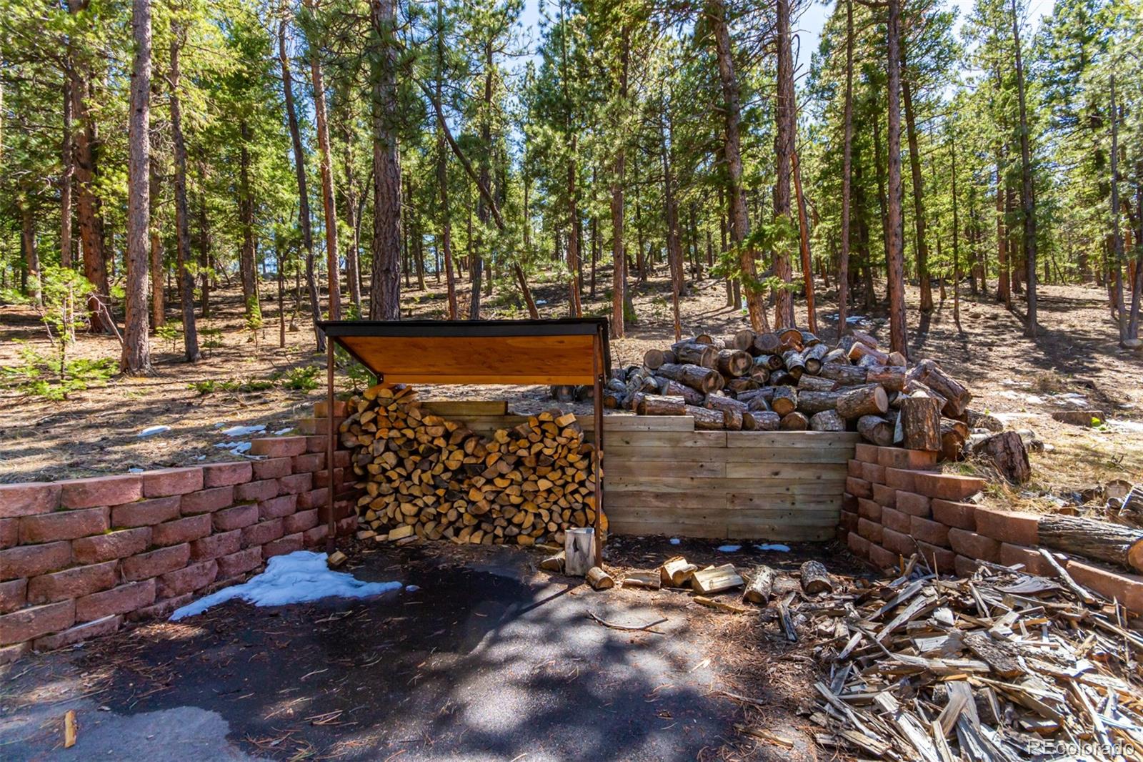 MLS Image #43 for 1372  bluebird drive,bailey, Colorado