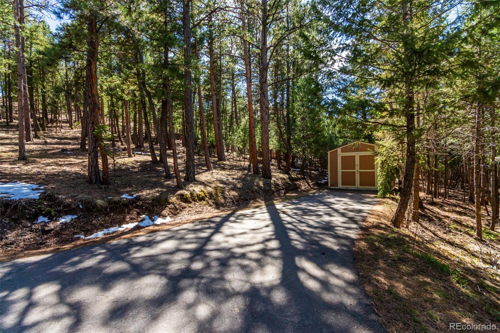 MLS Image #48 for 1372  bluebird drive,bailey, Colorado