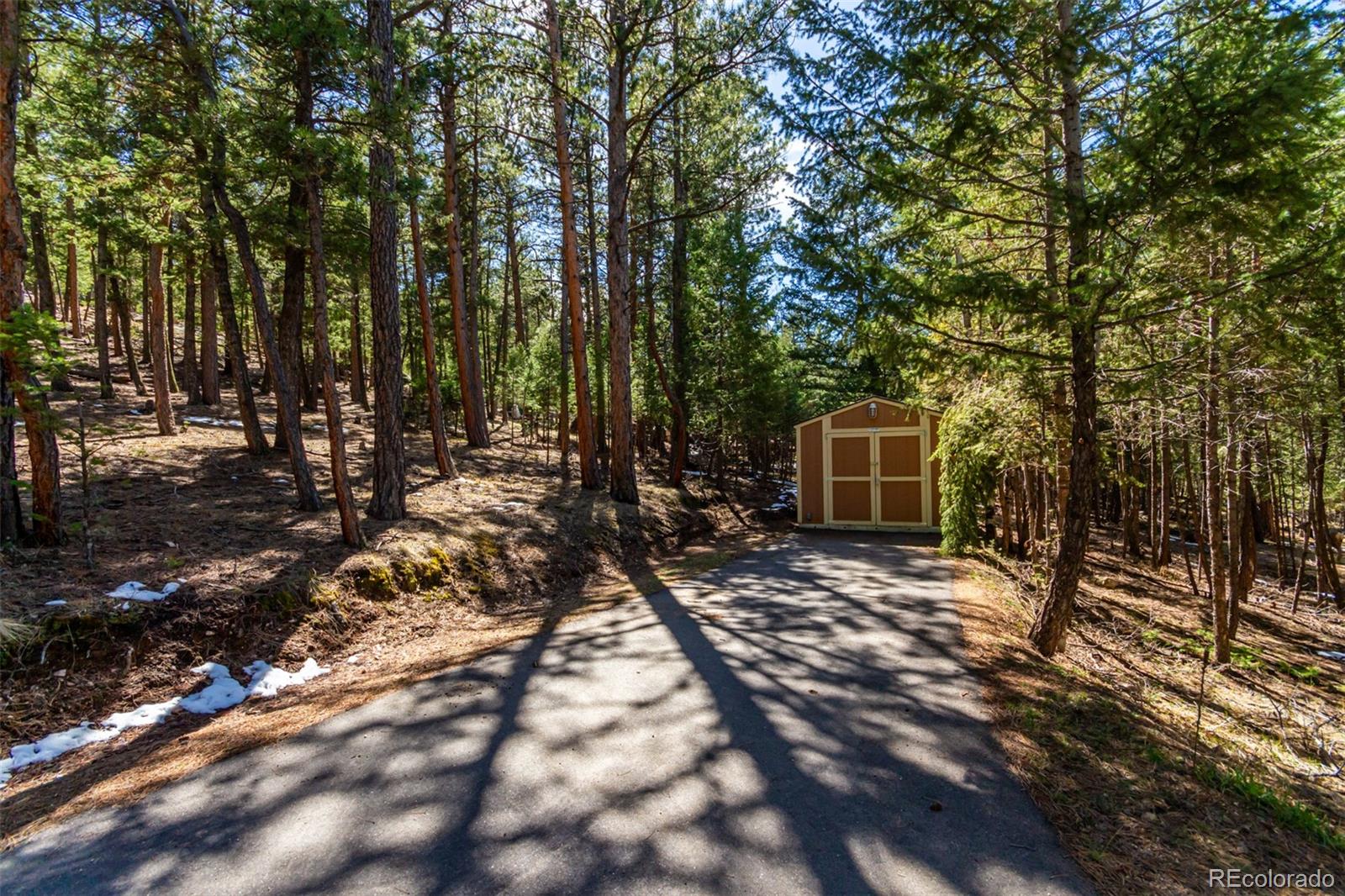 MLS Image #49 for 1372  bluebird drive,bailey, Colorado