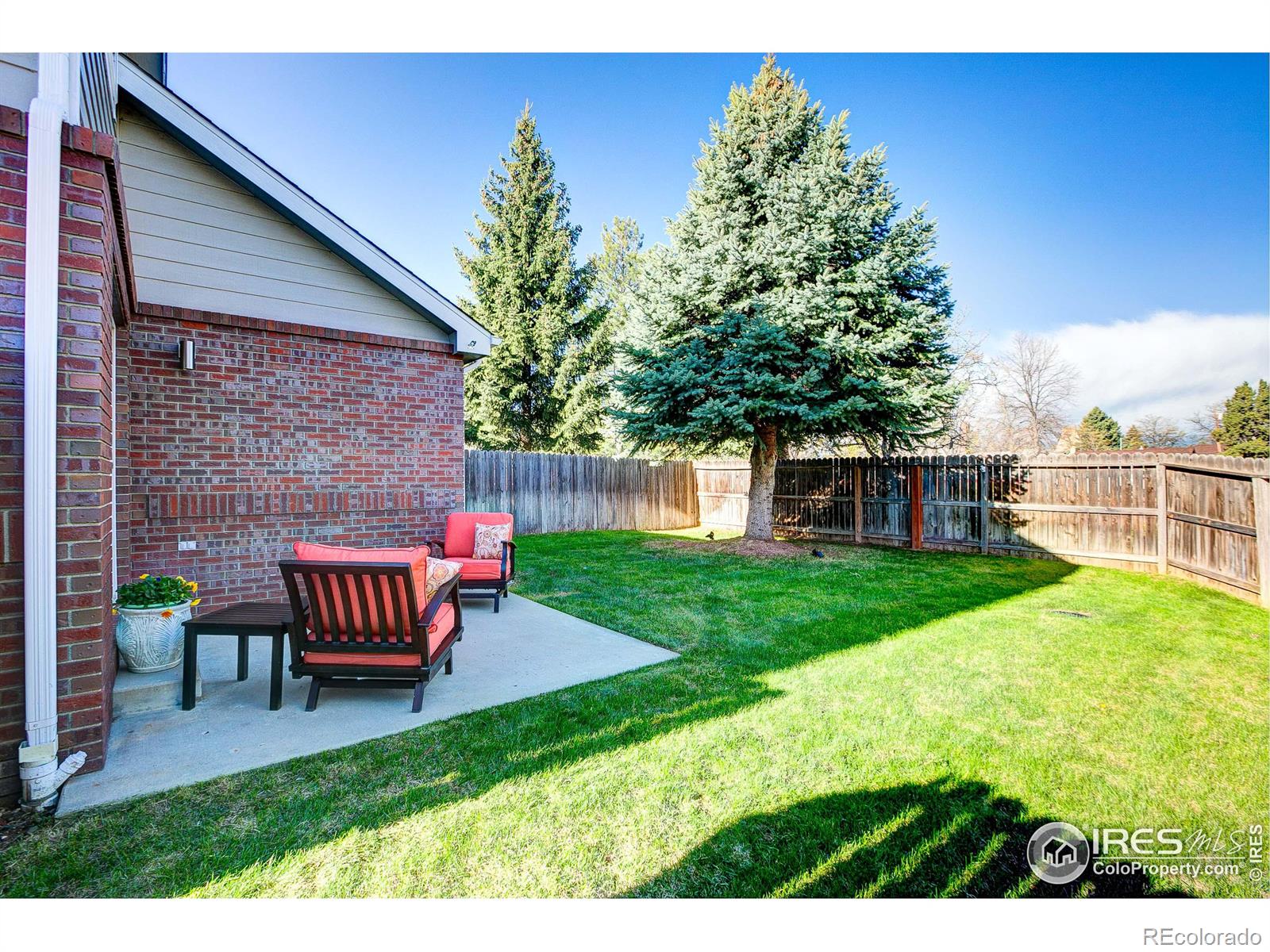 MLS Image #4 for 1315  taft court,loveland, Colorado