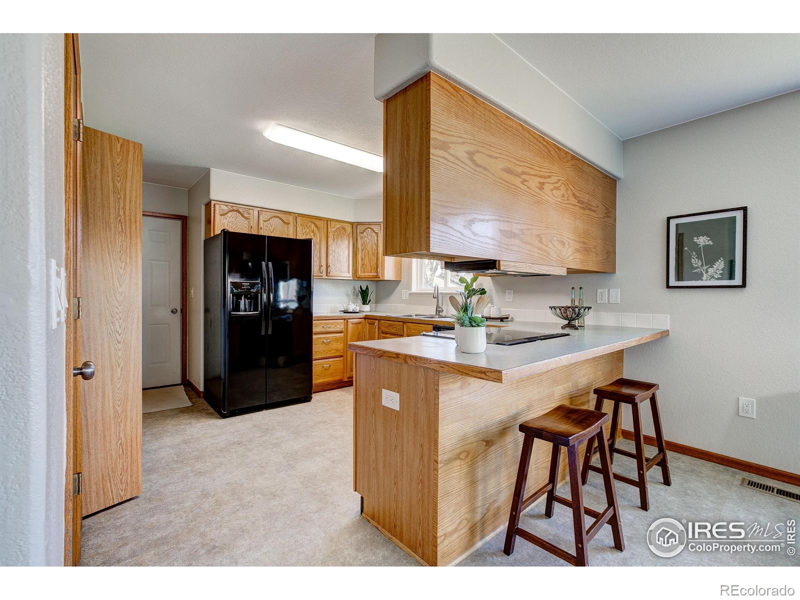 MLS Image #14 for 1311  taft court,loveland, Colorado