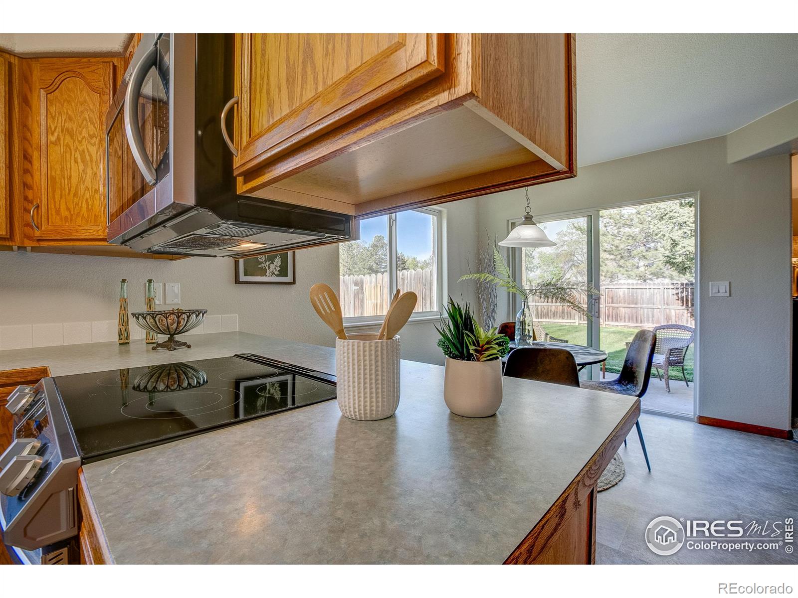 MLS Image #15 for 1311  taft court,loveland, Colorado