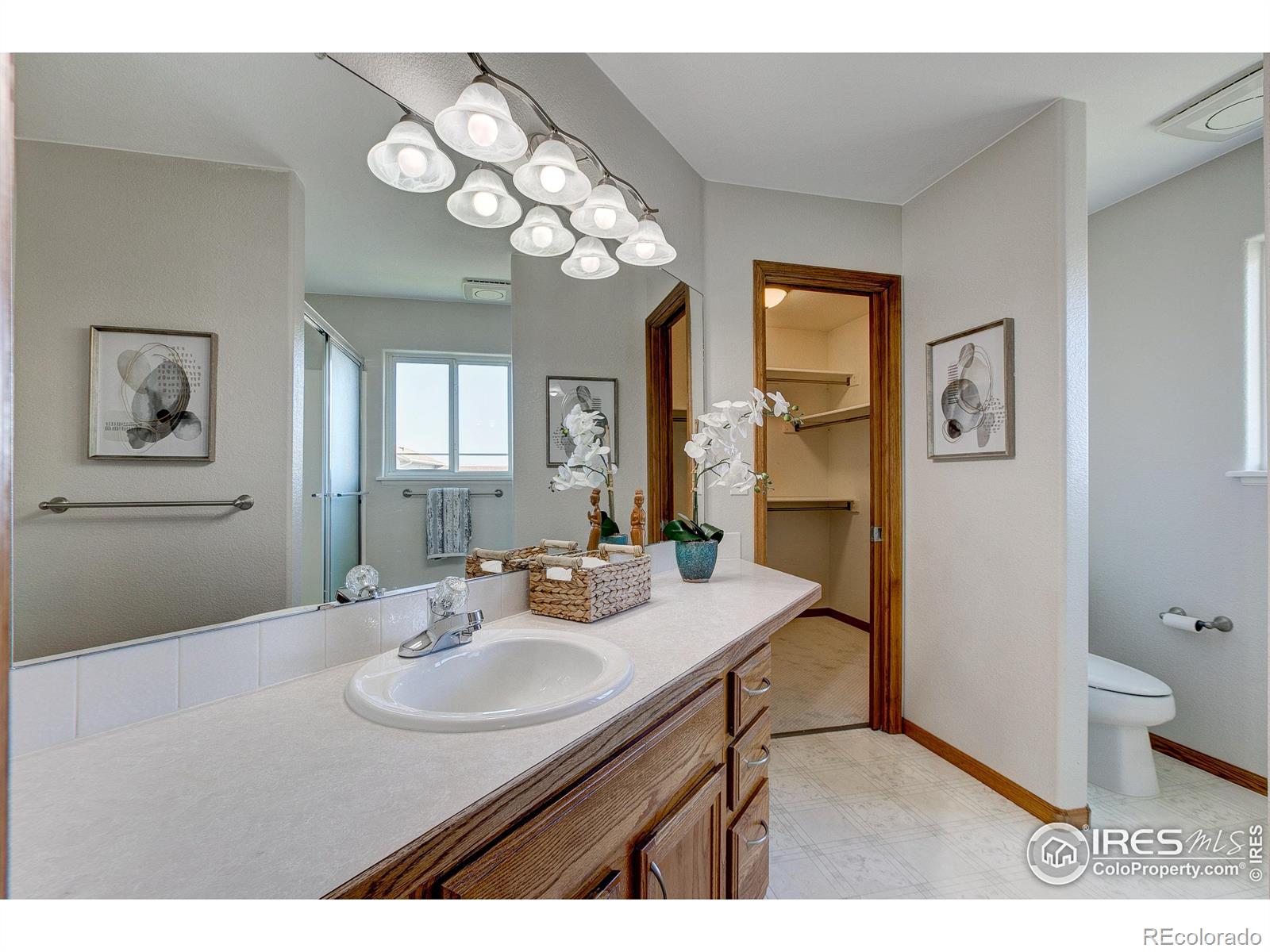 MLS Image #22 for 1311  taft court,loveland, Colorado