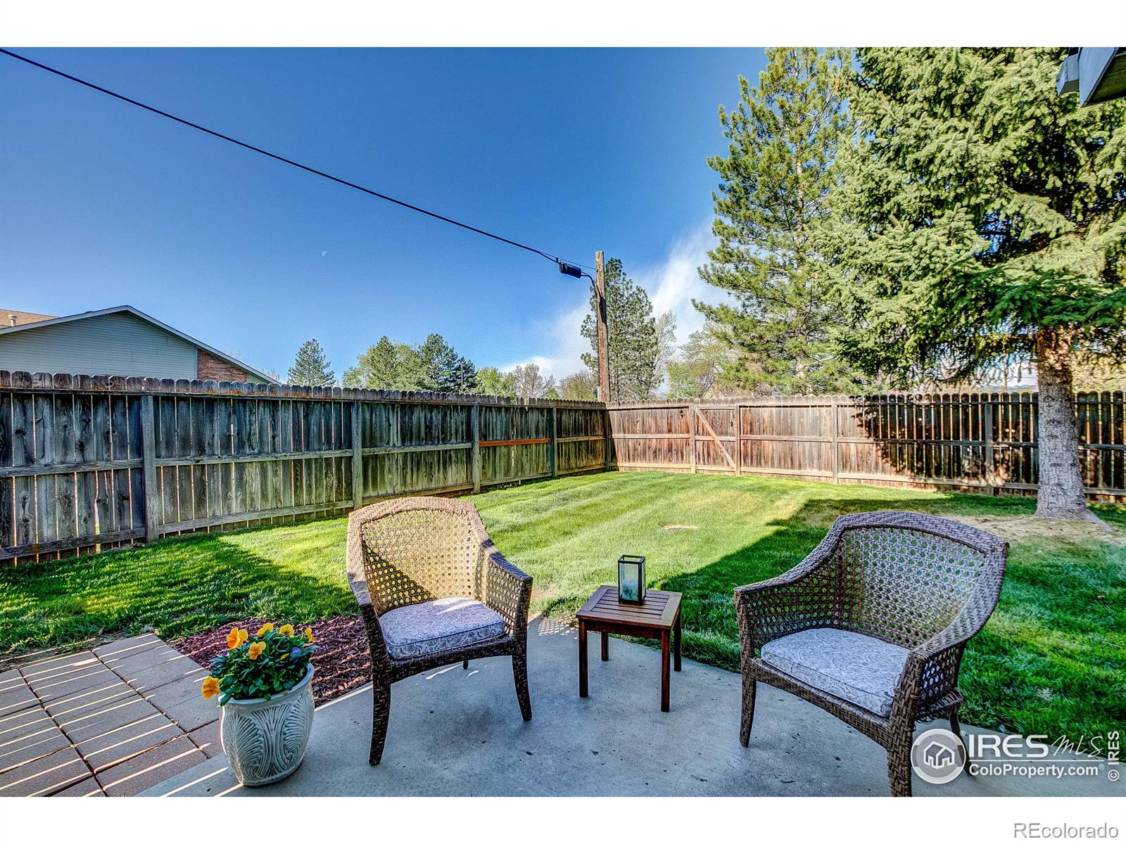 MLS Image #3 for 1311  taft court,loveland, Colorado