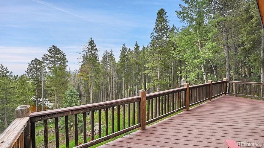 MLS Image #23 for 63  paiute road,evergreen, Colorado