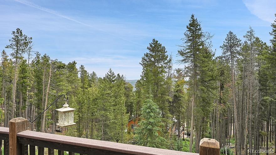 MLS Image #24 for 63  paiute road,evergreen, Colorado