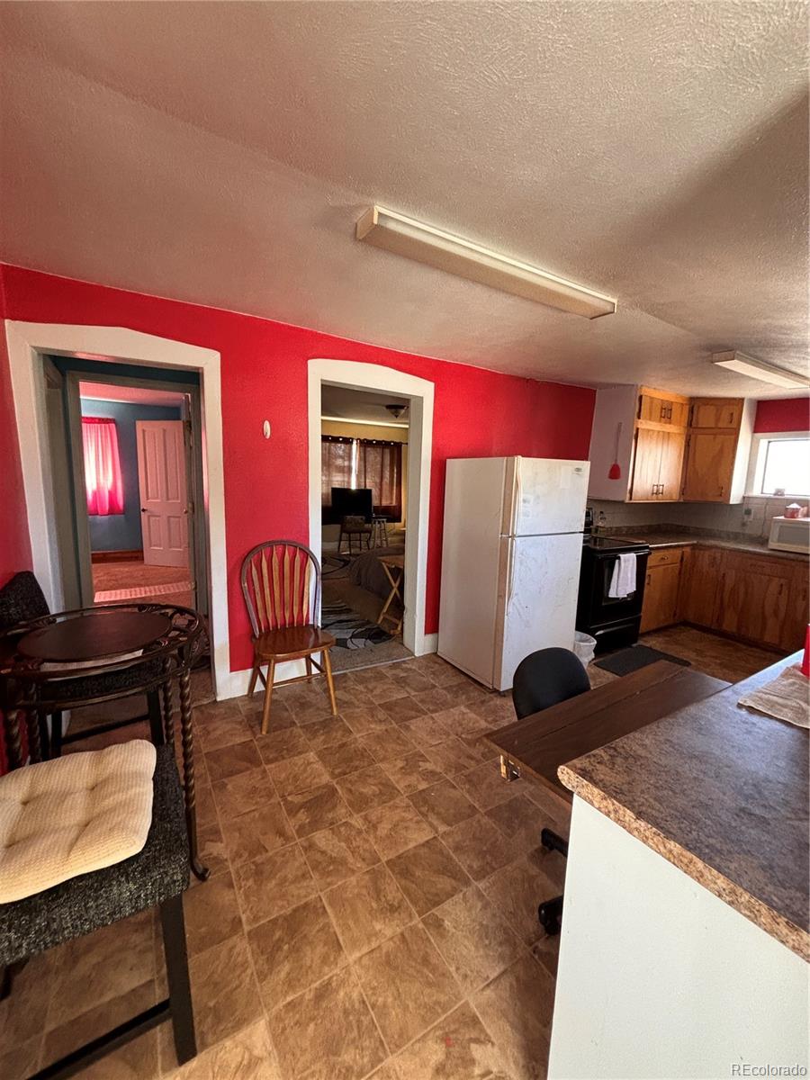 MLS Image #12 for 810  4th street,sanford, Colorado