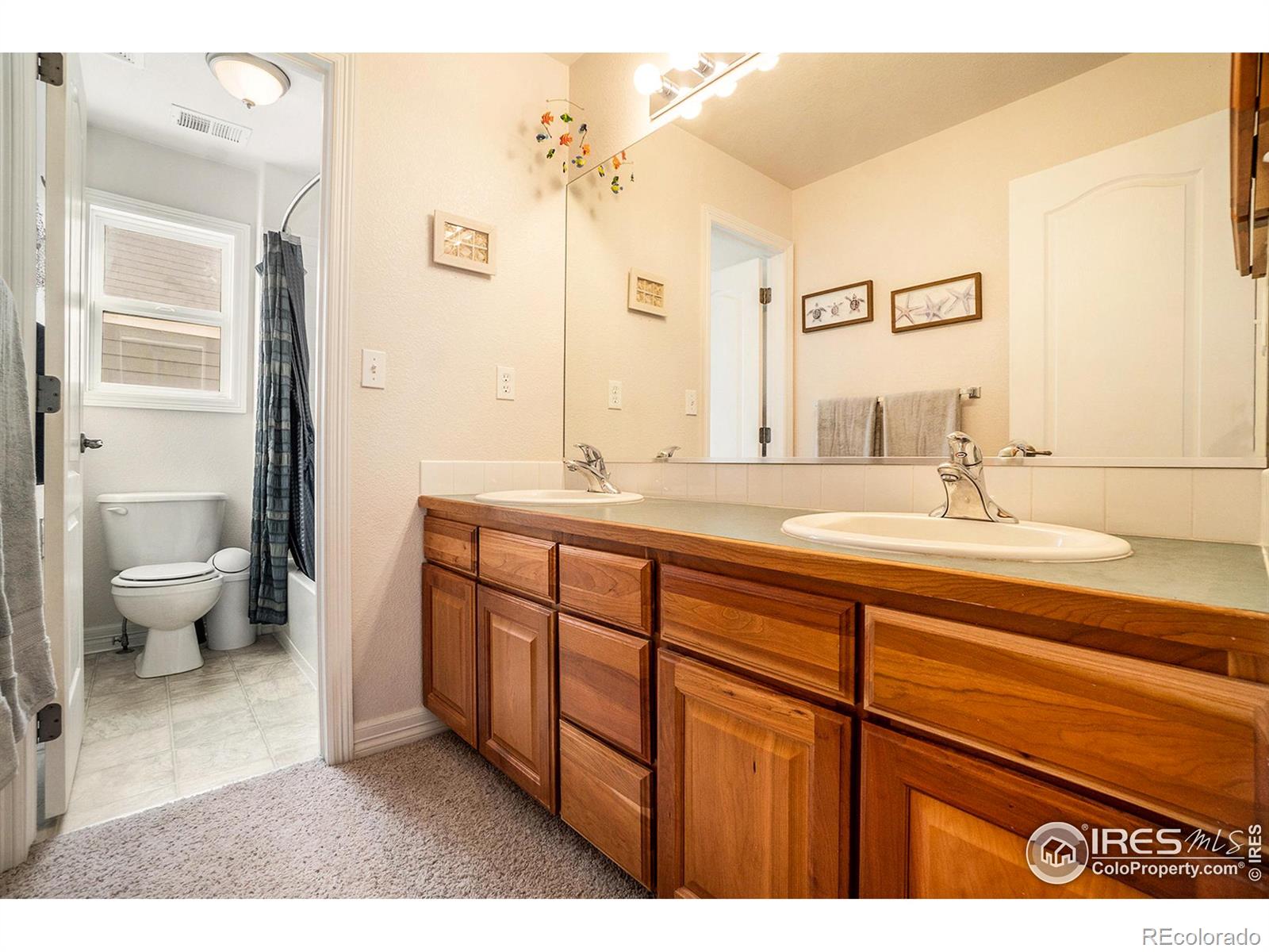 MLS Image #24 for 5307  schooner lane,windsor, Colorado