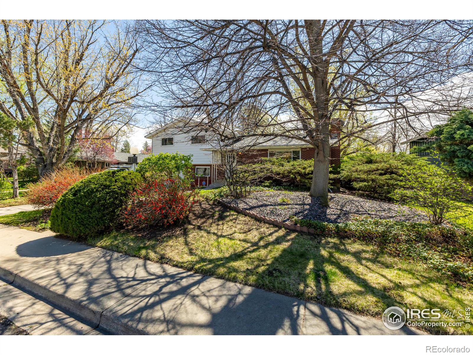 MLS Image #2 for 3430  ash avenue,boulder, Colorado