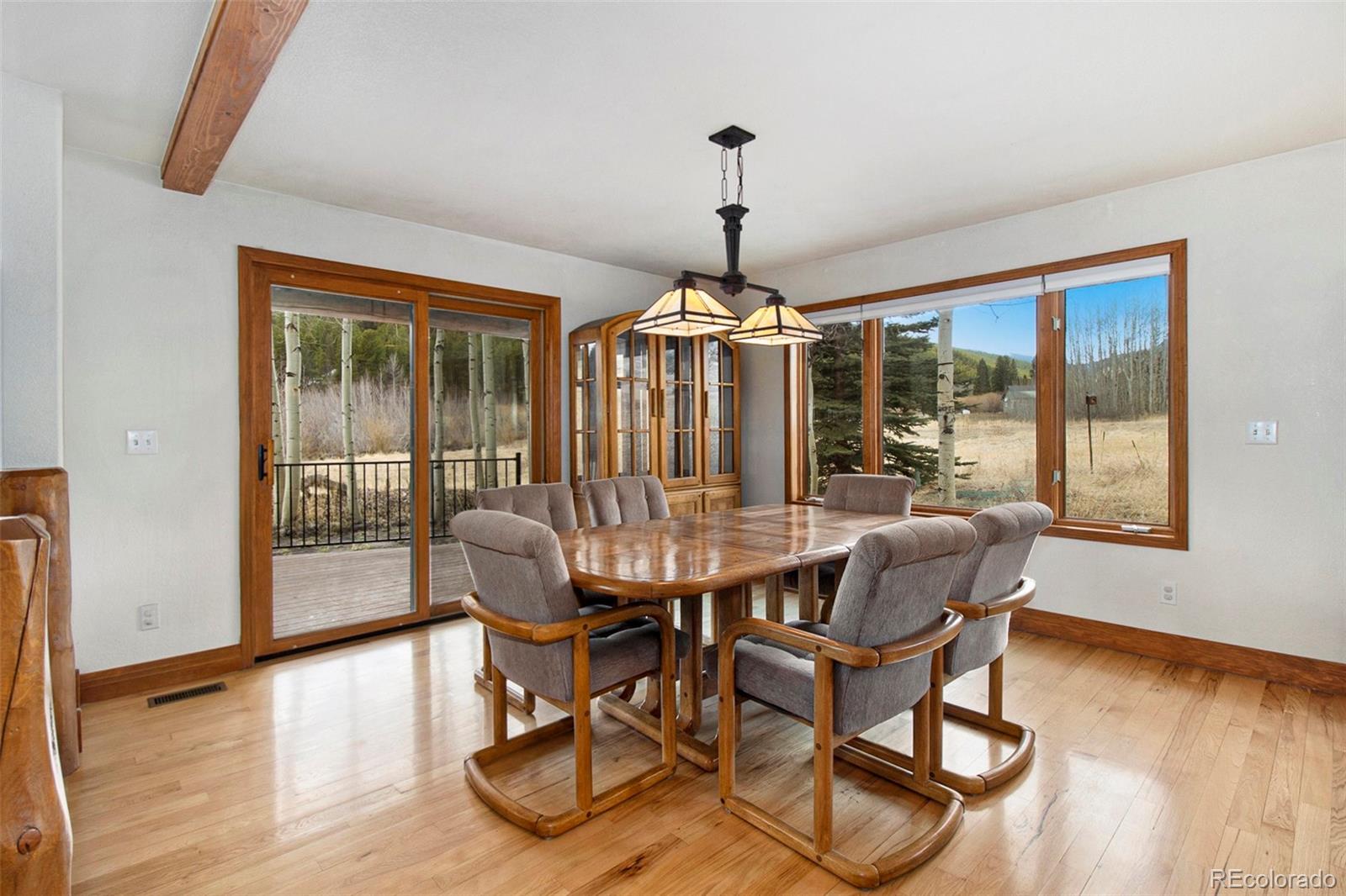 MLS Image #11 for 43  forest ridge circle,bailey, Colorado