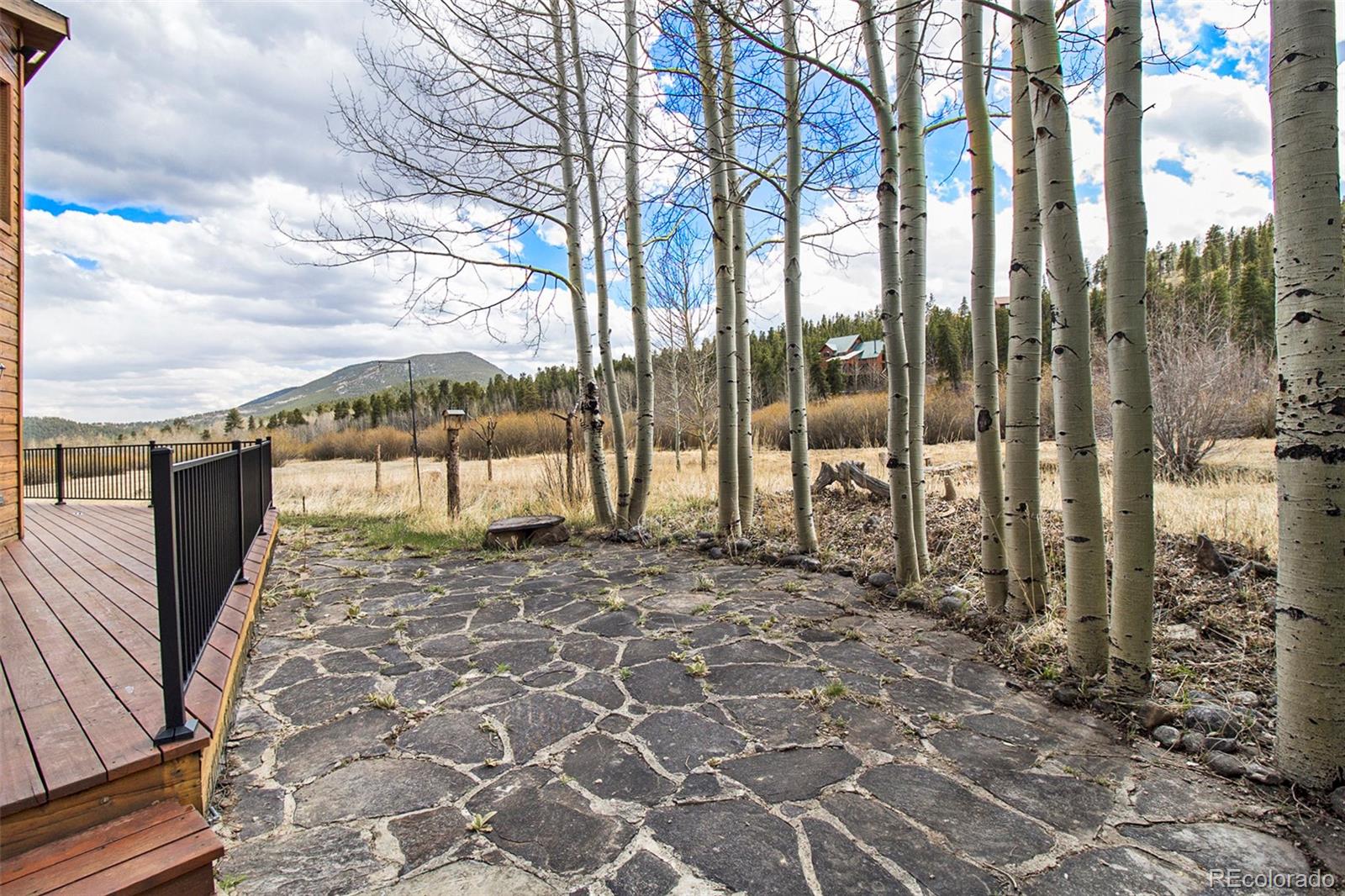 MLS Image #29 for 43  forest ridge circle,bailey, Colorado