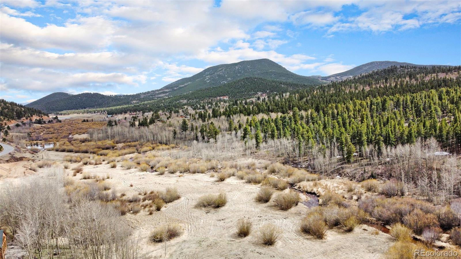 MLS Image #34 for 43  forest ridge circle,bailey, Colorado