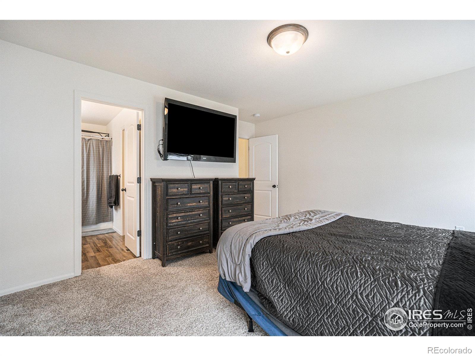 MLS Image #19 for 819  saiga drive,severance, Colorado