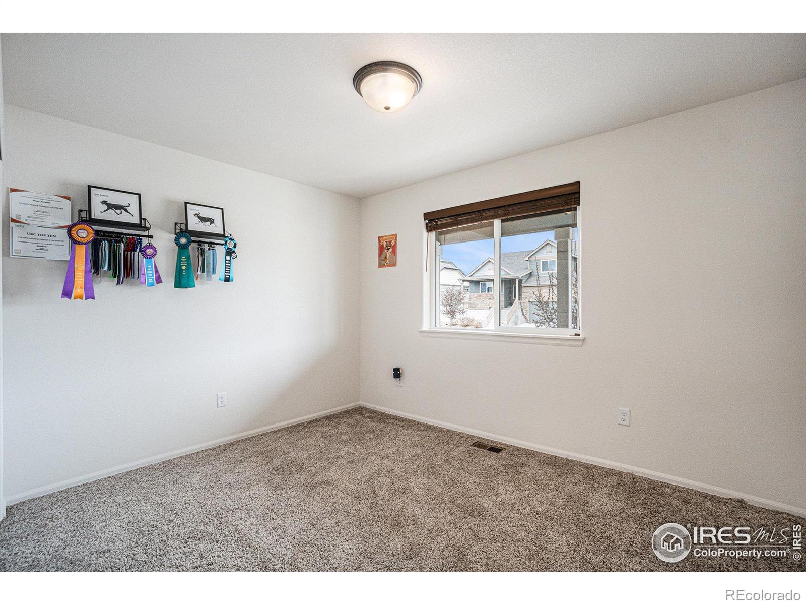 MLS Image #25 for 819  saiga drive,severance, Colorado