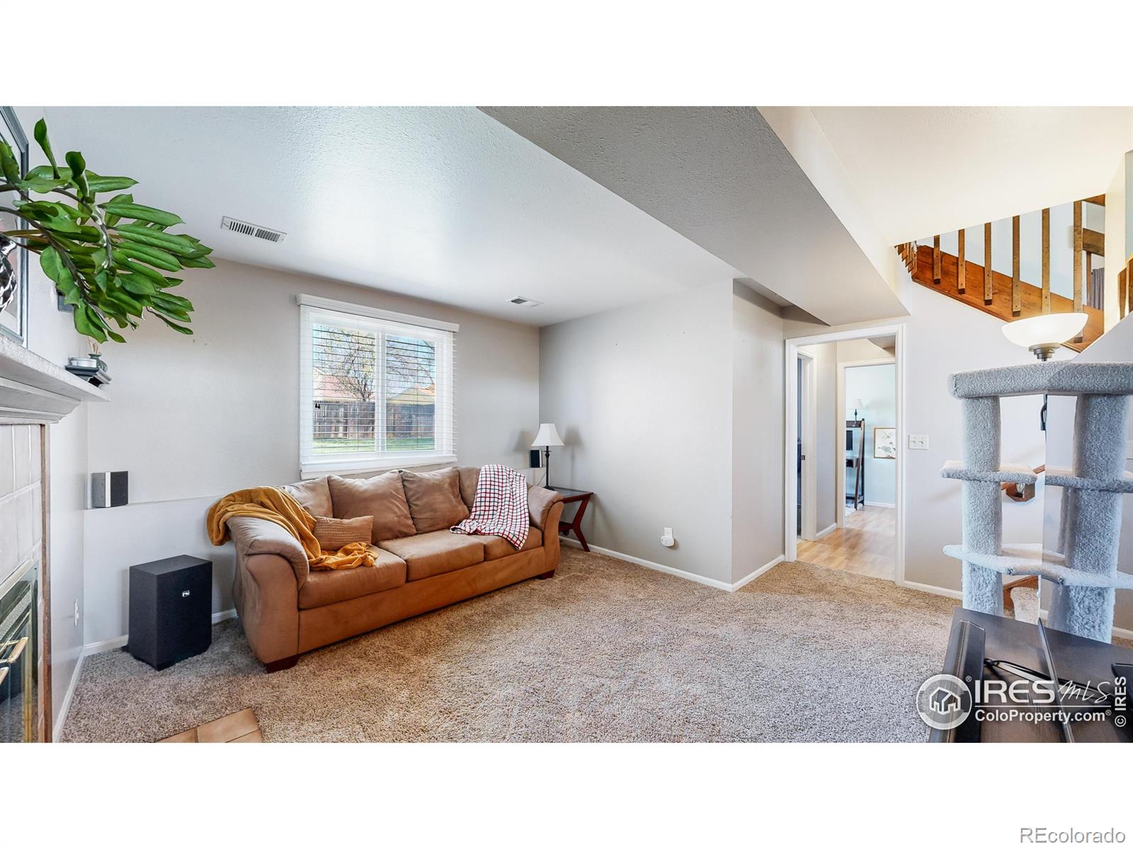 MLS Image #13 for 718  marigold lane,fort collins, Colorado