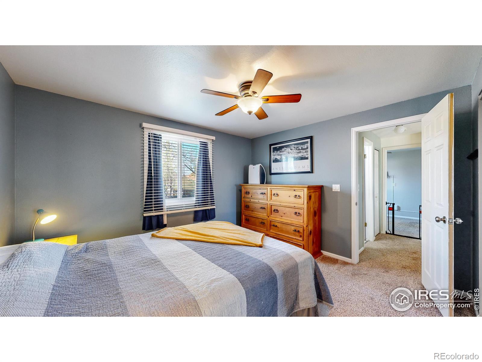 MLS Image #8 for 718  marigold lane,fort collins, Colorado