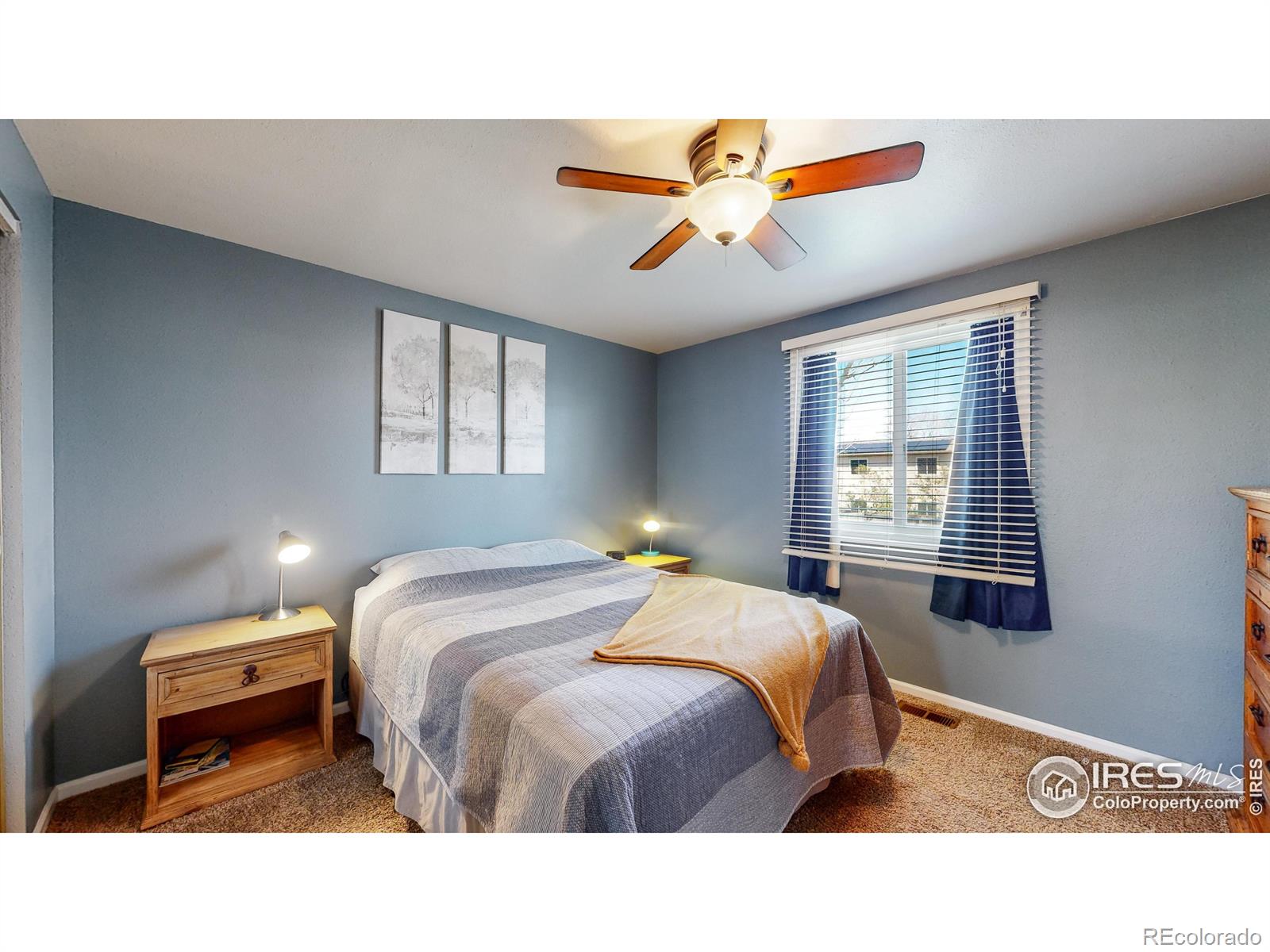 MLS Image #9 for 718  marigold lane,fort collins, Colorado