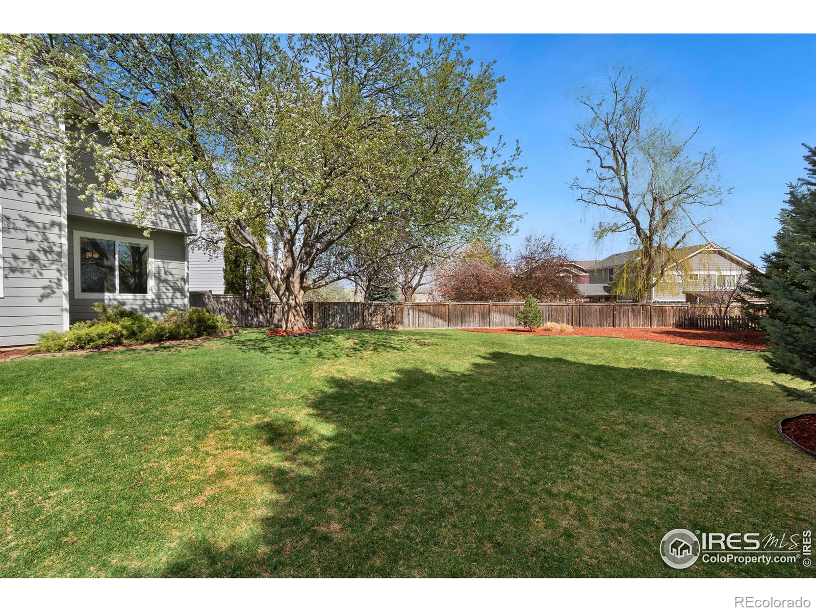 MLS Image #38 for 3006  milner court,fort collins, Colorado