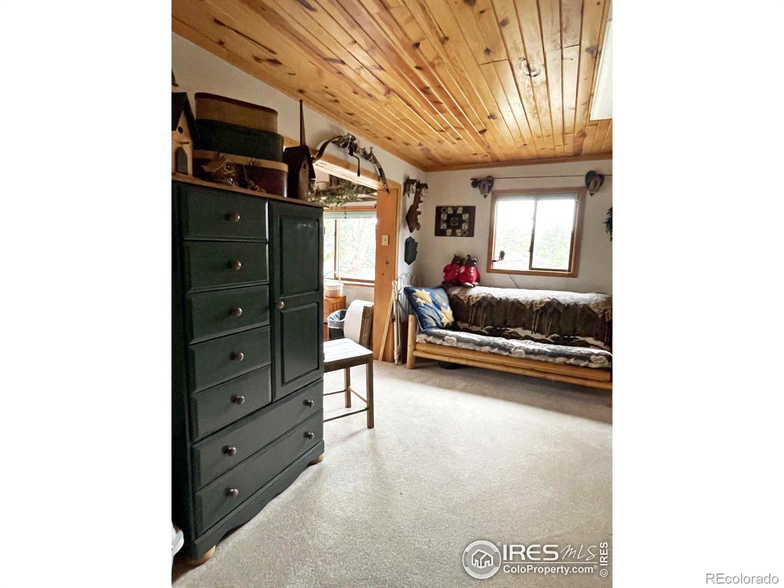 MLS Image #20 for 175  robin path ,red feather lakes, Colorado