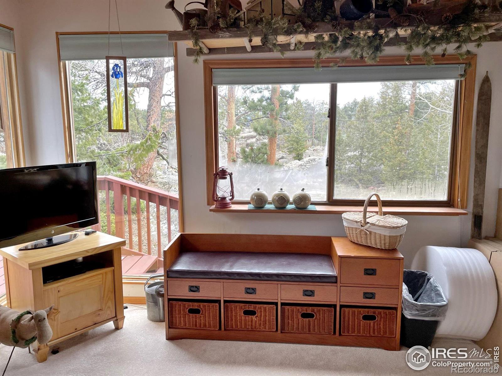 MLS Image #22 for 175  robin path ,red feather lakes, Colorado