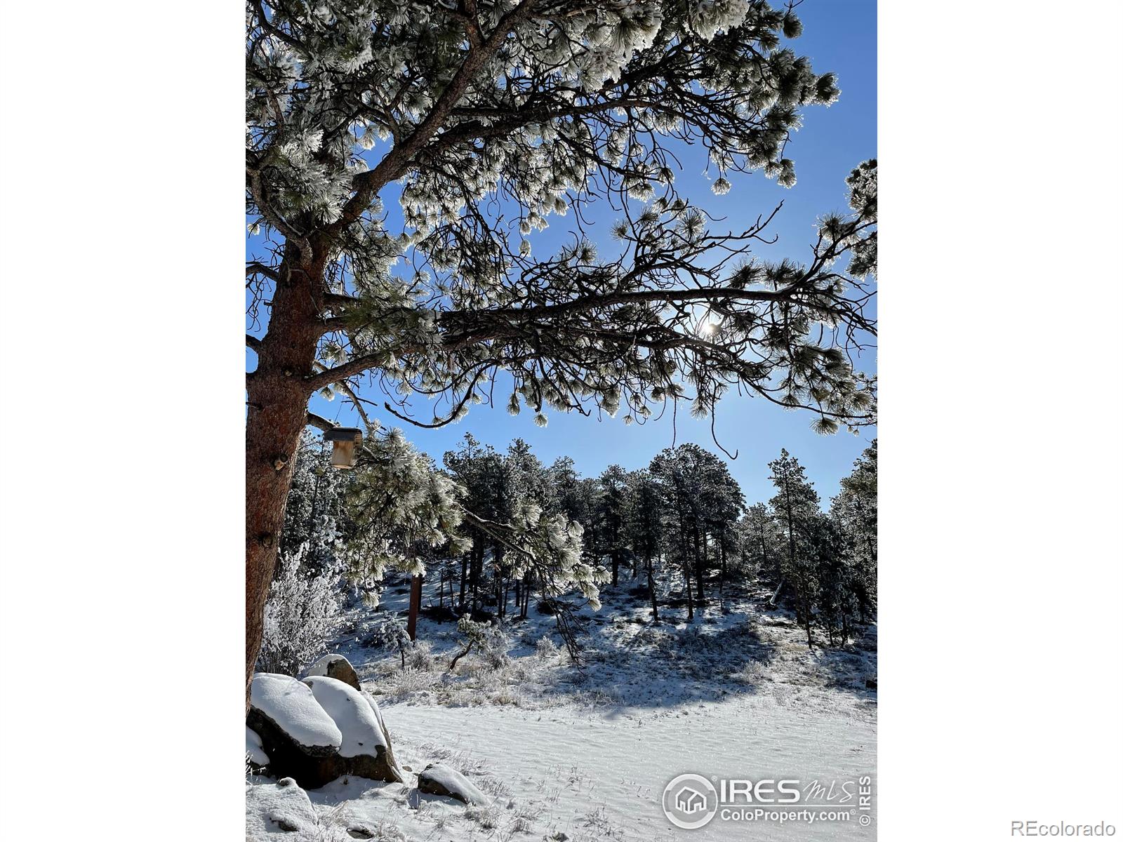 MLS Image #27 for 175  robin path ,red feather lakes, Colorado