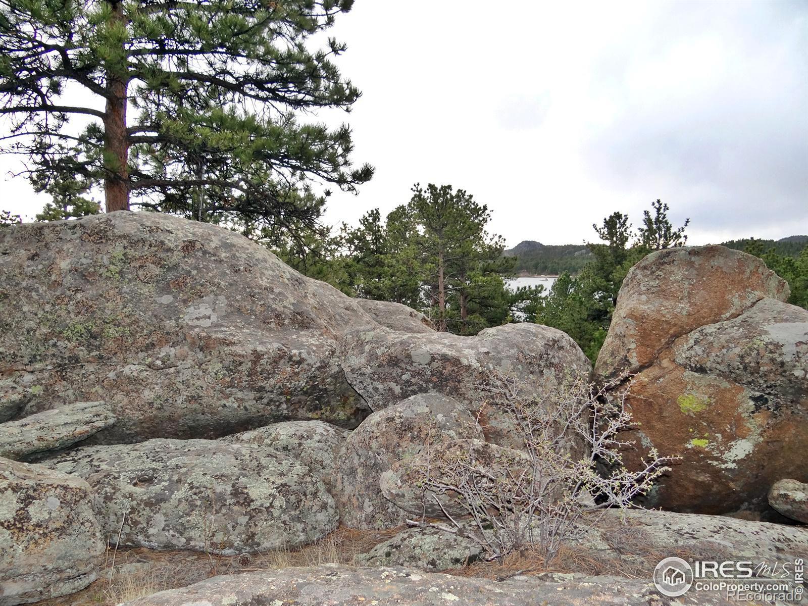 MLS Image #28 for 175  robin path ,red feather lakes, Colorado