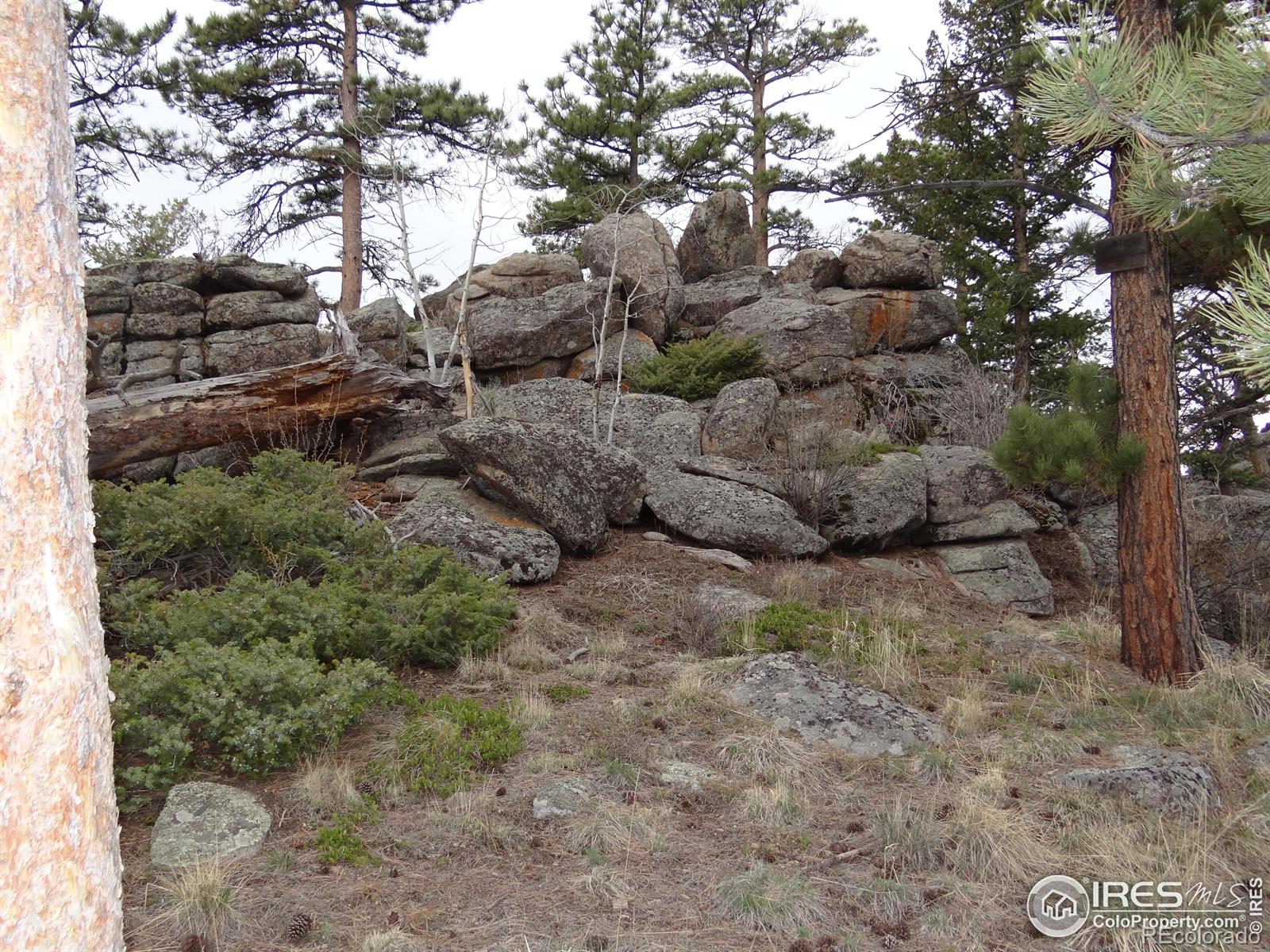 MLS Image #29 for 175  robin path ,red feather lakes, Colorado