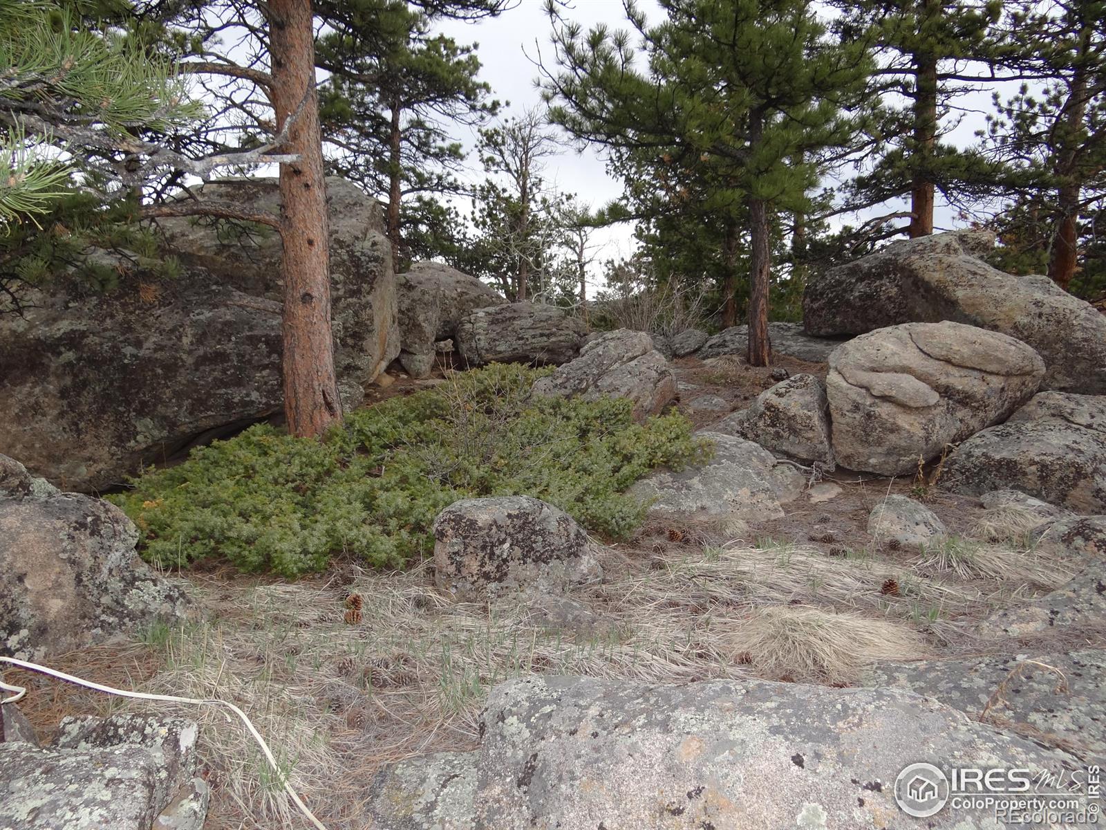 MLS Image #31 for 175  robin path ,red feather lakes, Colorado