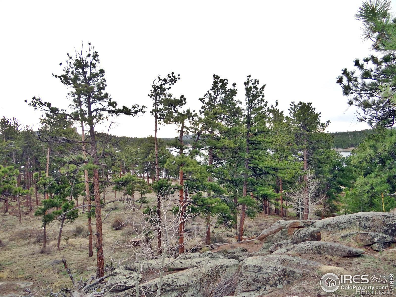 MLS Image #32 for 175  robin path ,red feather lakes, Colorado