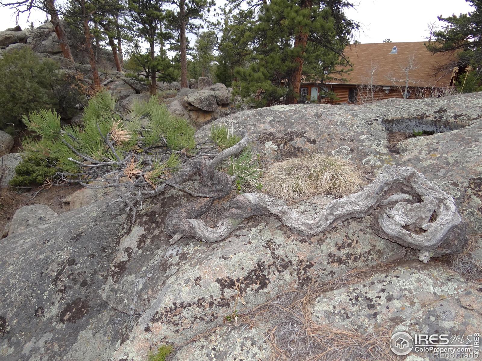 MLS Image #34 for 175  robin path ,red feather lakes, Colorado