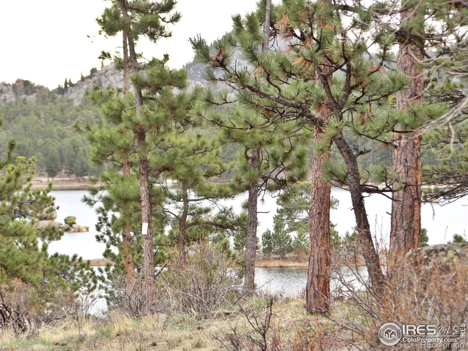 MLS Image #35 for 175  robin path ,red feather lakes, Colorado