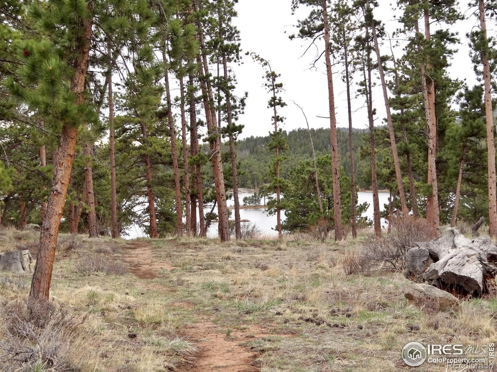 MLS Image #5 for 175  robin path ,red feather lakes, Colorado