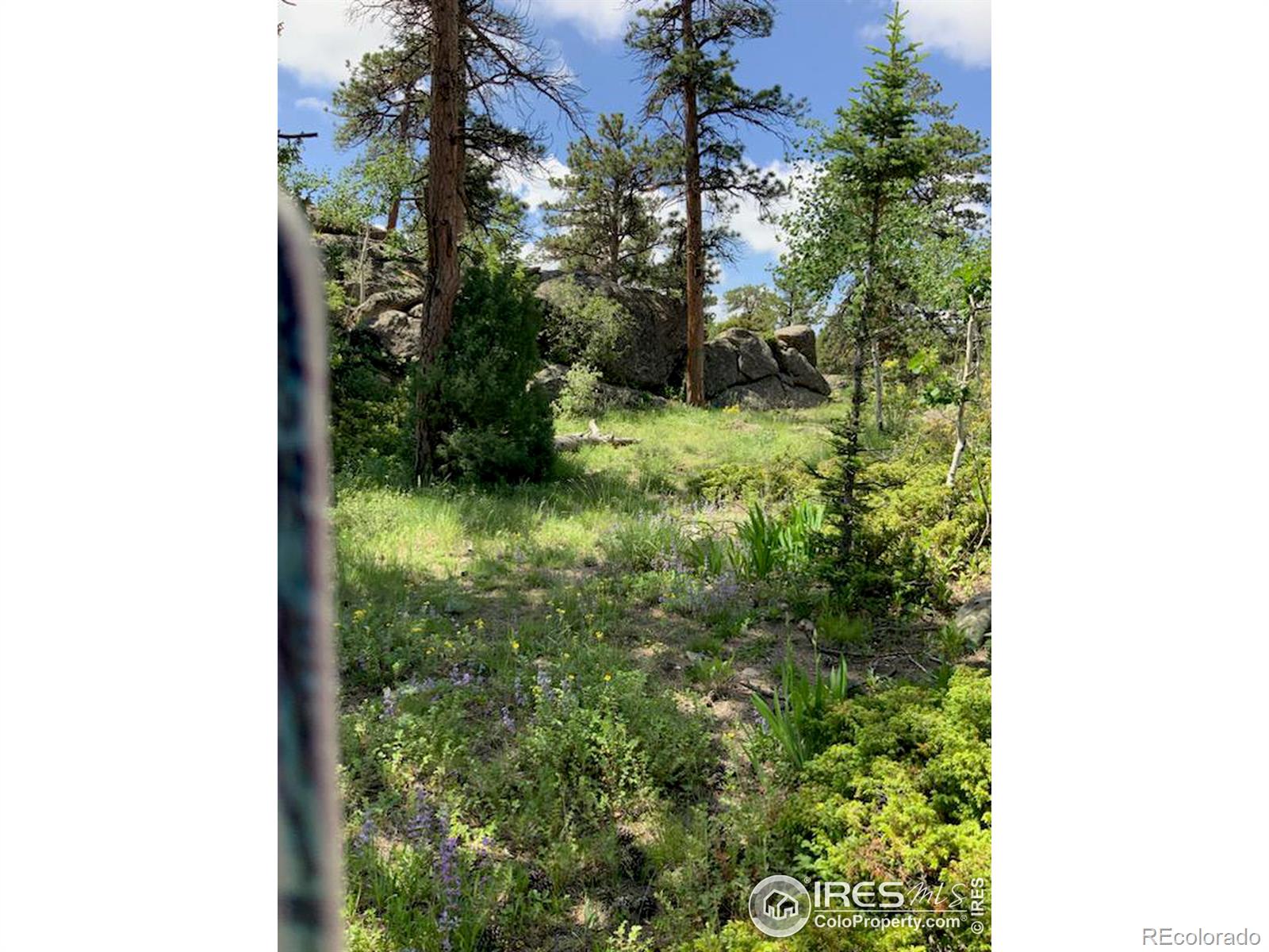 MLS Image #8 for 175  robin path ,red feather lakes, Colorado