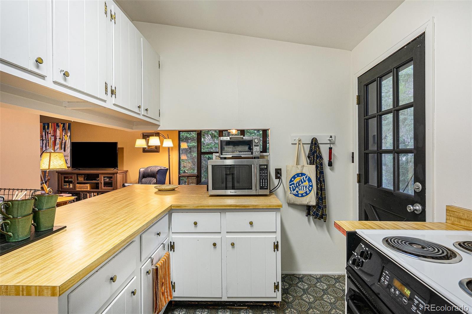 MLS Image #9 for 72  columbine drive,dumont, Colorado