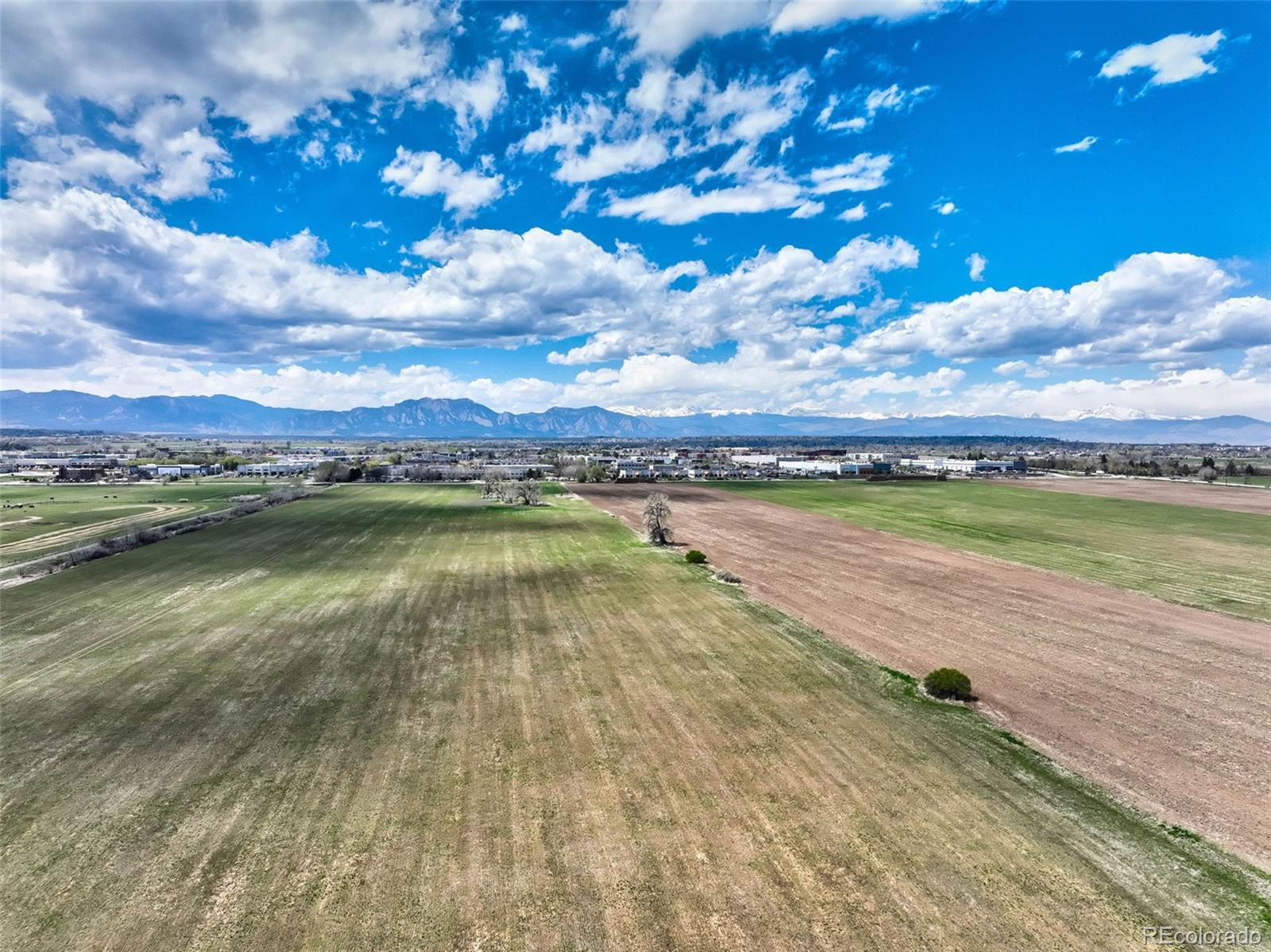 MLS Image #5 for 381  elk trail,lafayette, Colorado