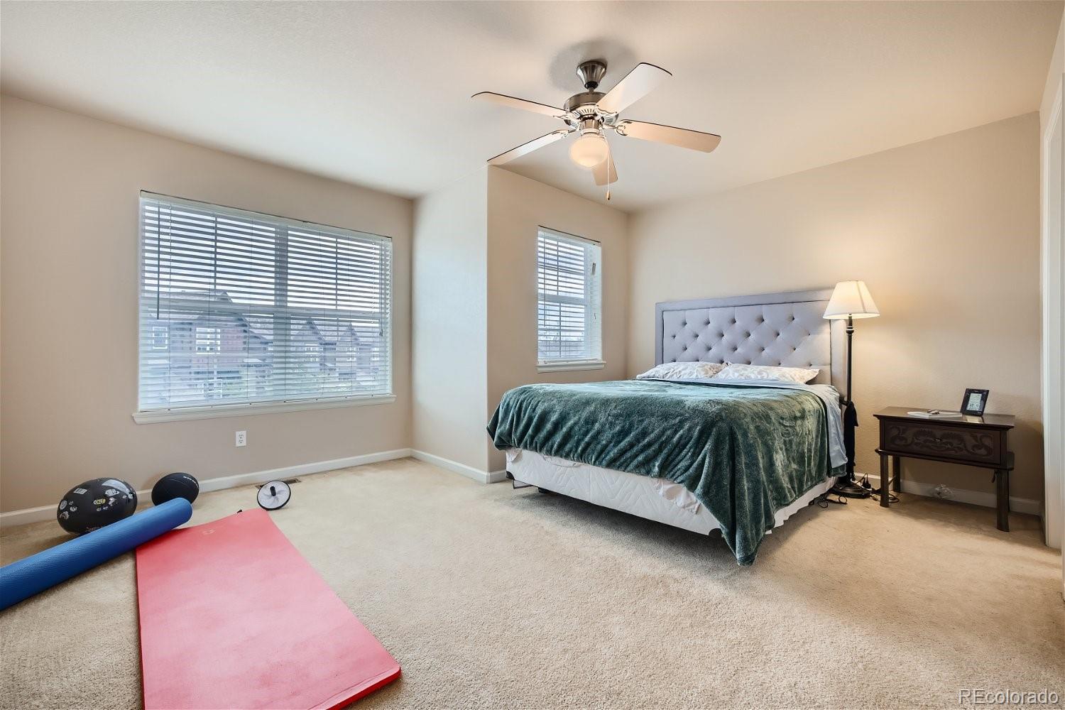 MLS Image #13 for 4070  star view,colorado springs, Colorado