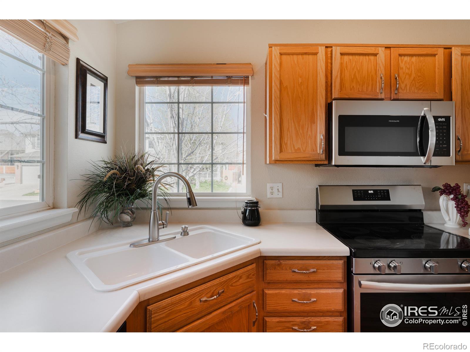 MLS Image #10 for 2771  canossa drive,broomfield, Colorado