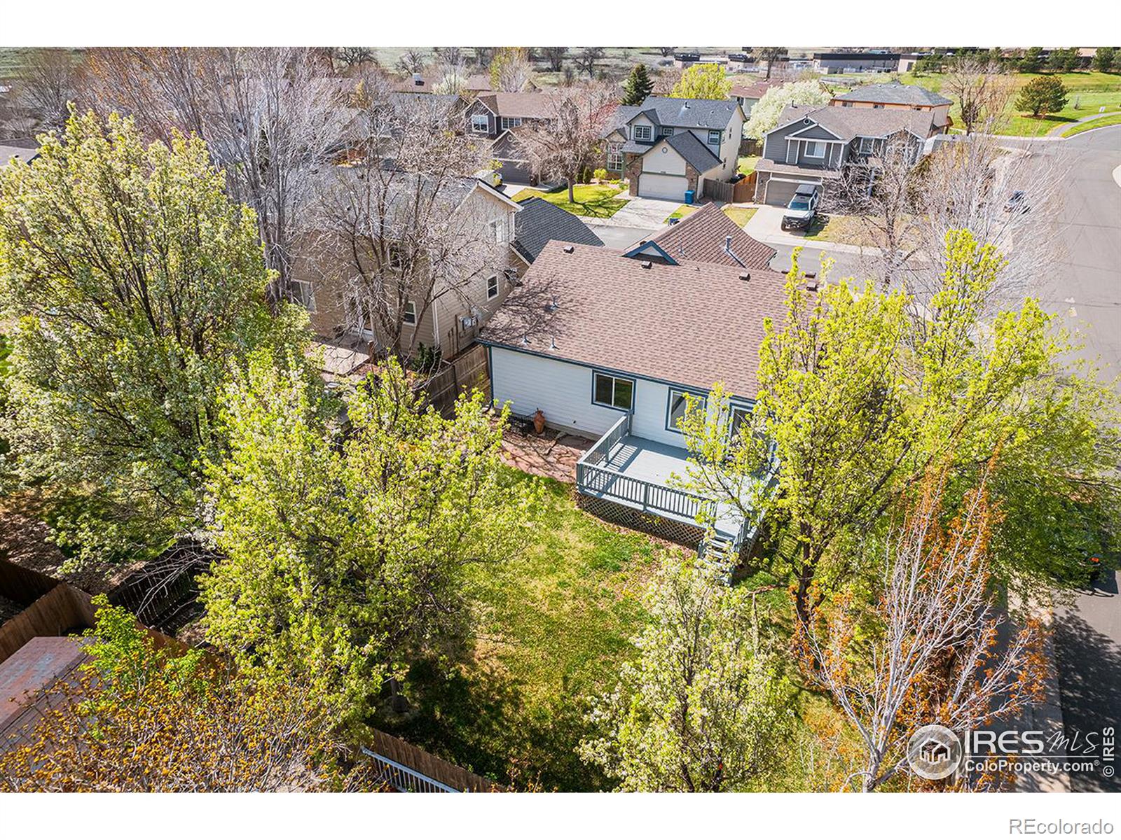 MLS Image #2 for 2771  canossa drive,broomfield, Colorado