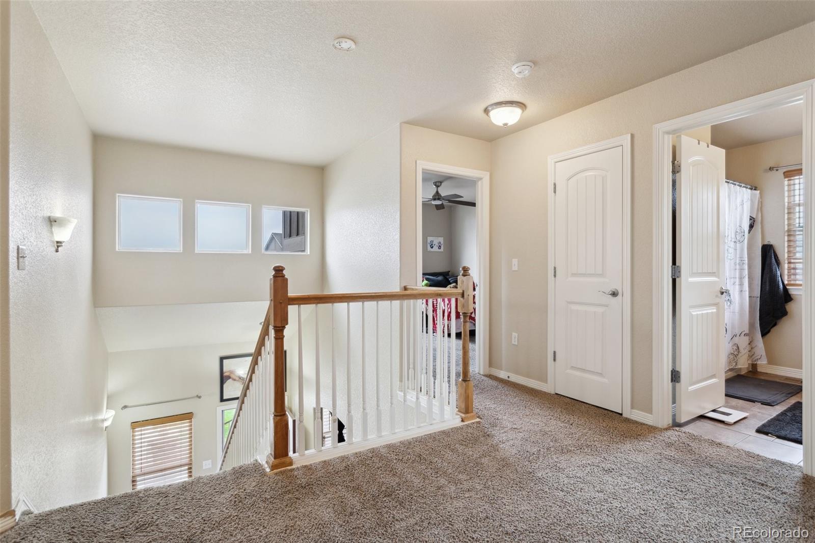 MLS Image #11 for 6314  bearcat loop,colorado springs, Colorado