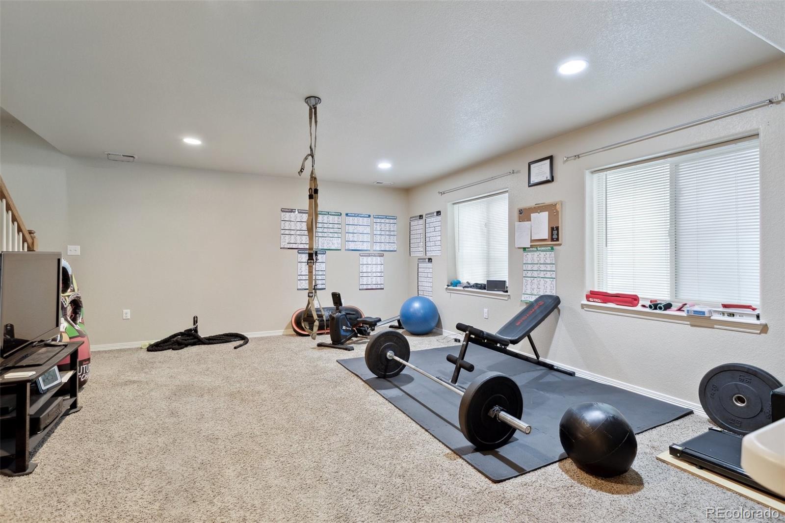 MLS Image #26 for 6314  bearcat loop,colorado springs, Colorado