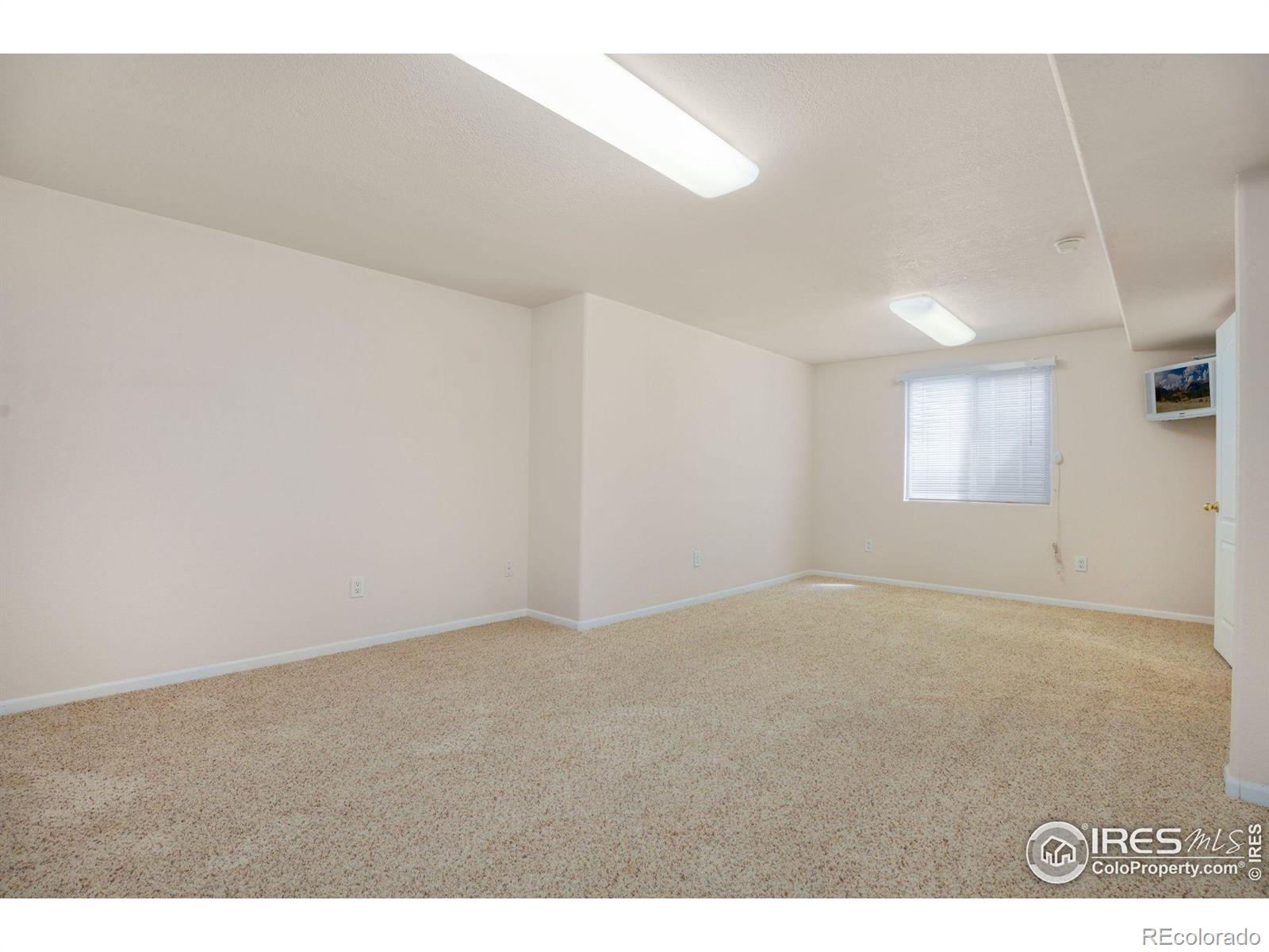 MLS Image #28 for 1156  english oak court,loveland, Colorado