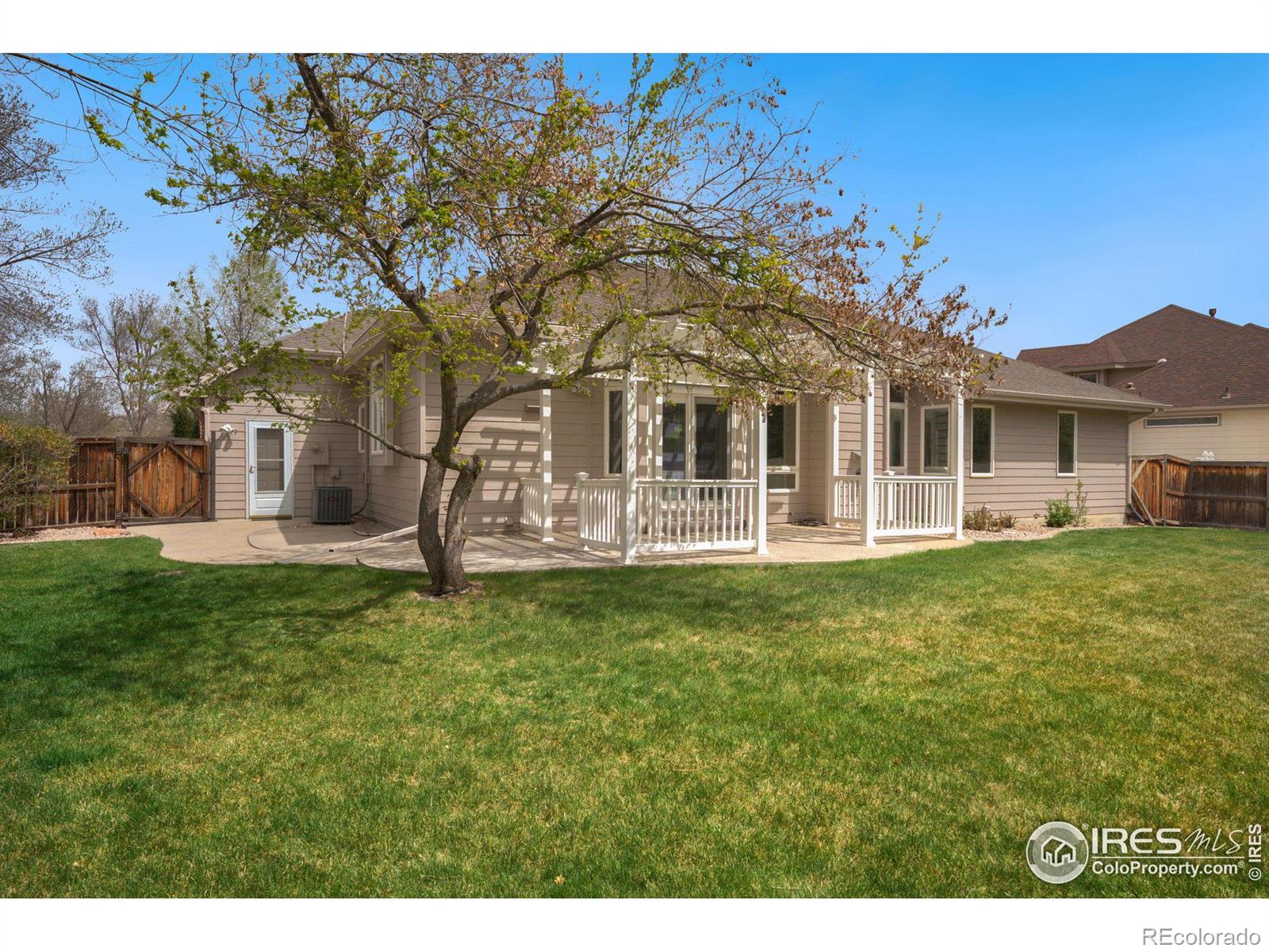 MLS Image #36 for 1156  english oak court,loveland, Colorado