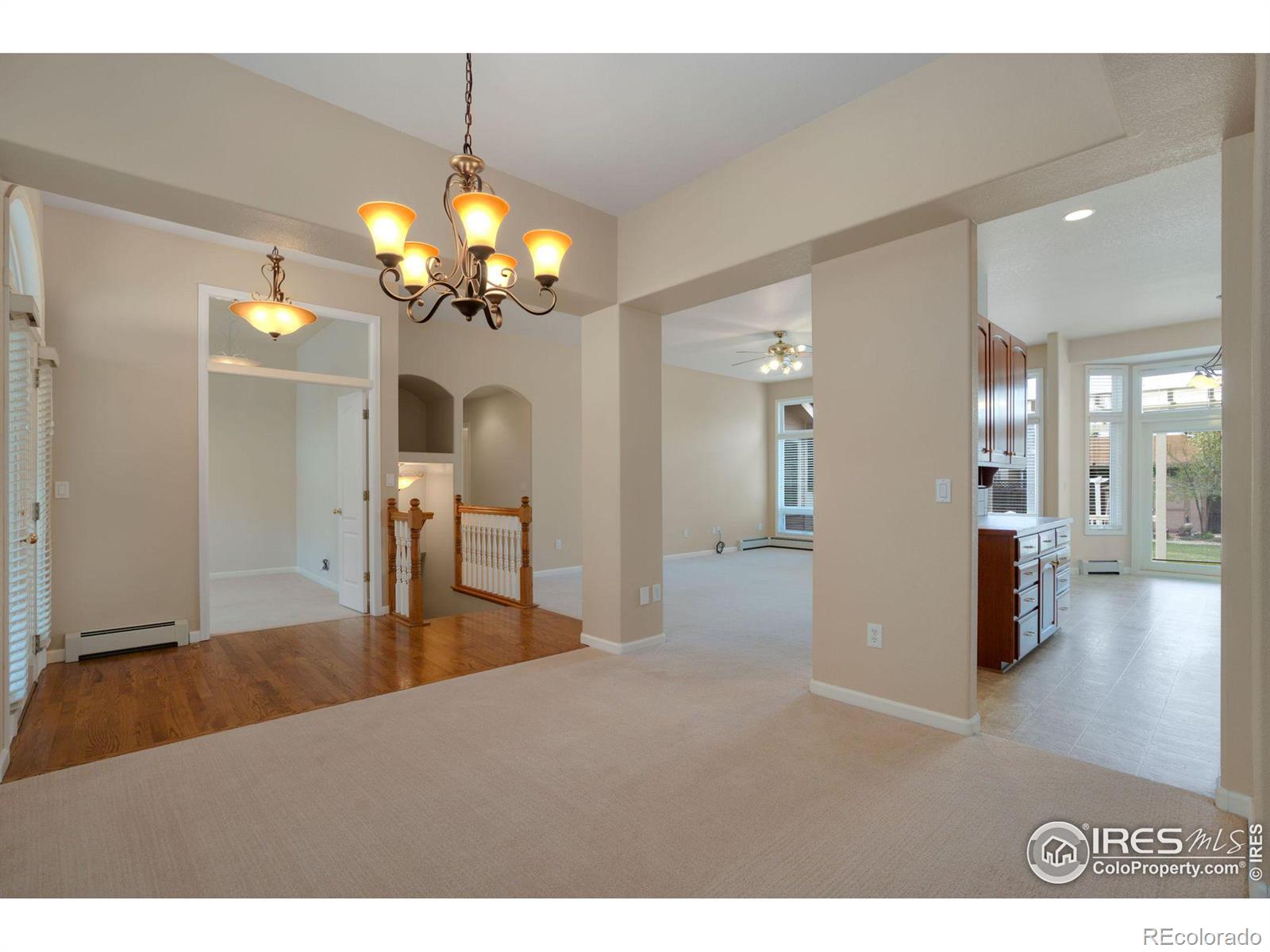 MLS Image #4 for 1156  english oak court,loveland, Colorado