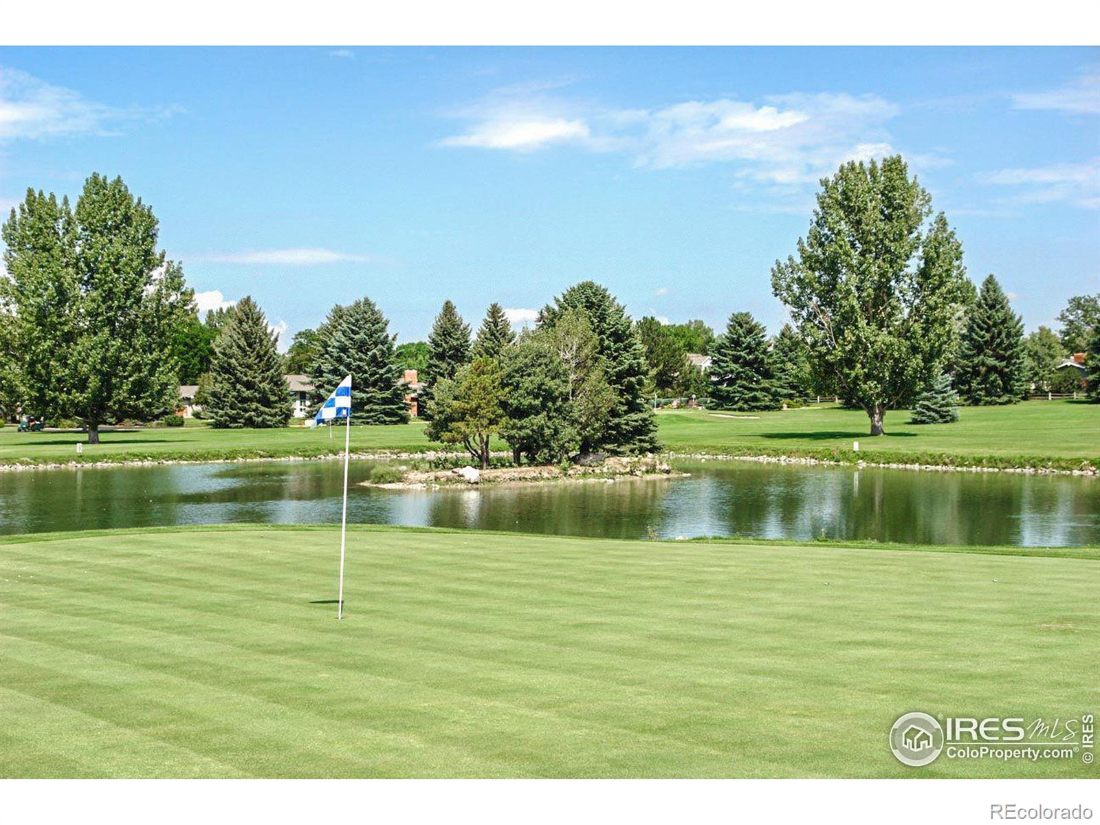 MLS Image #3 for 1545  adriel court,fort collins, Colorado