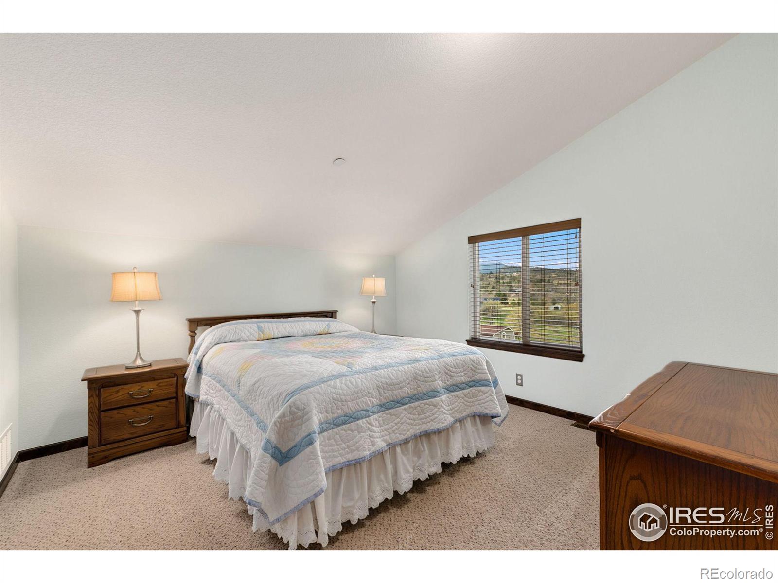 MLS Image #21 for 192  antelope drive,lyons, Colorado