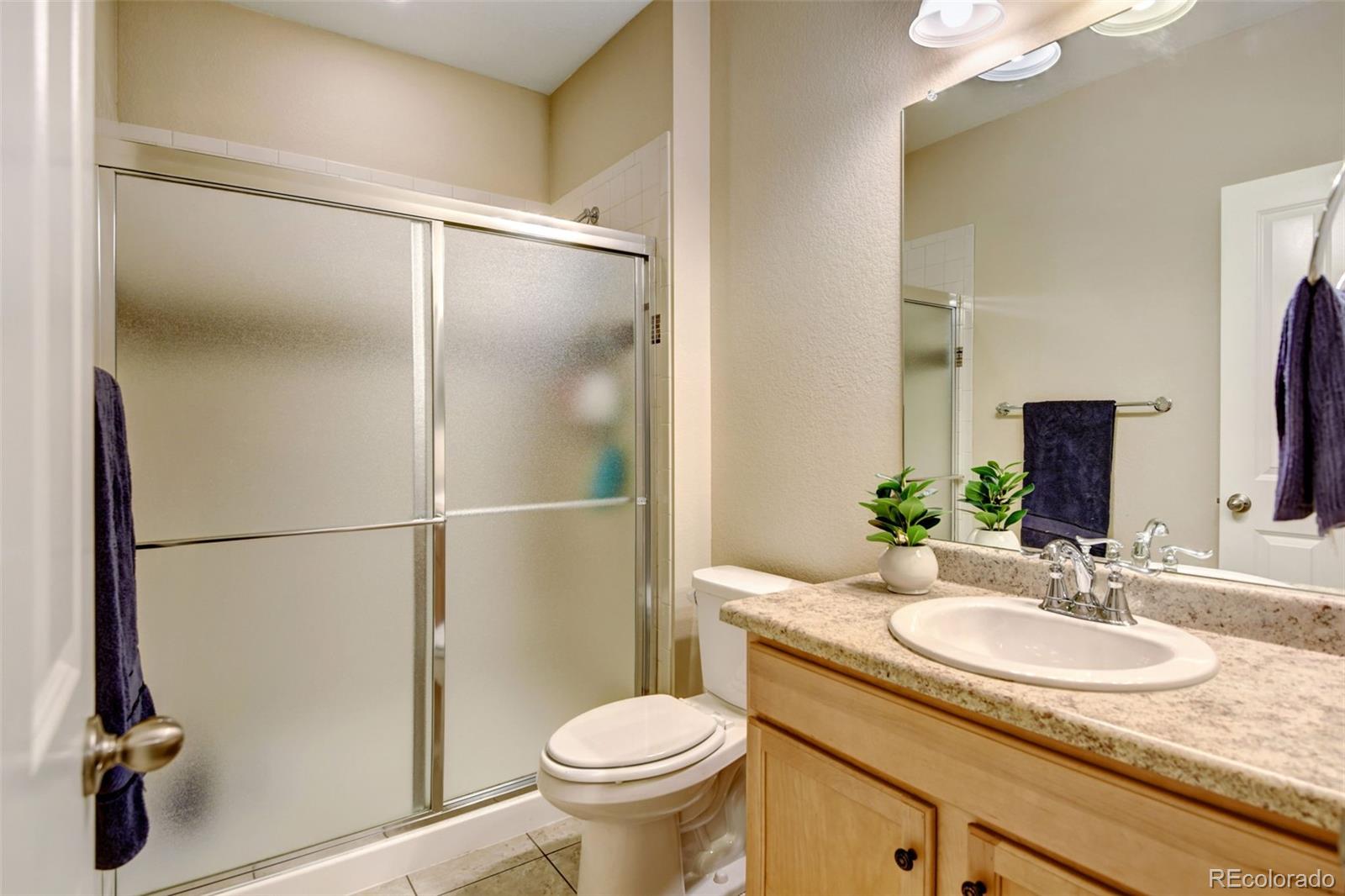 MLS Image #25 for 71 s jackson gap way,aurora, Colorado