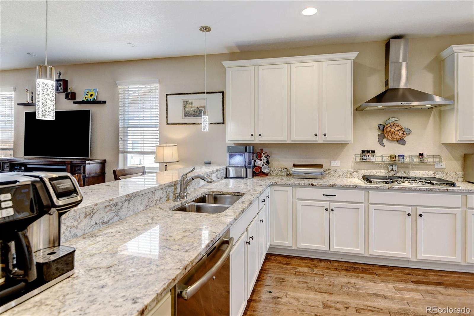 MLS Image #8 for 71 s jackson gap way,aurora, Colorado